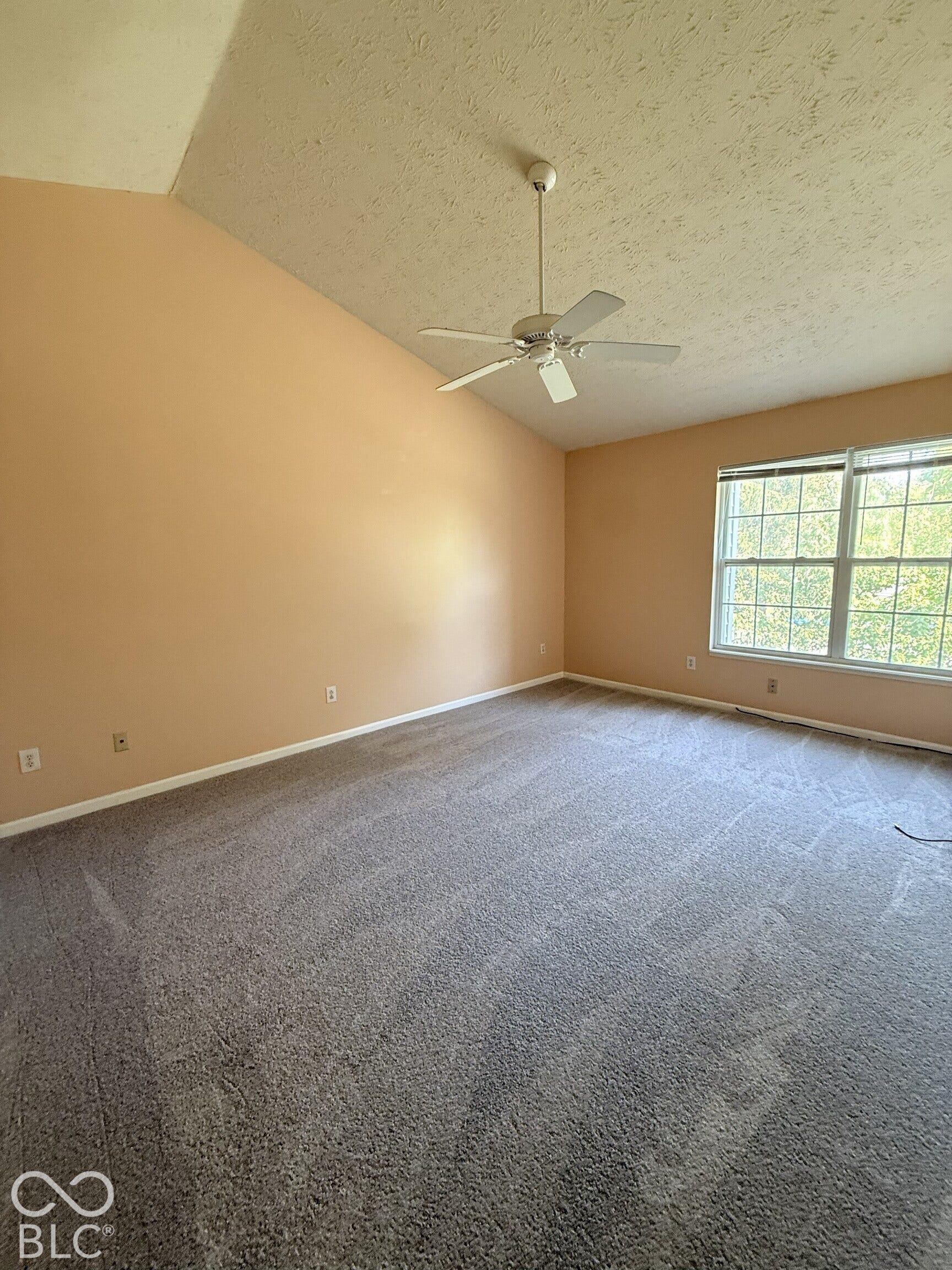 Vaulted ceiling featuring a ceiling fan, neutral carpeting, and multi-pane grid windows
