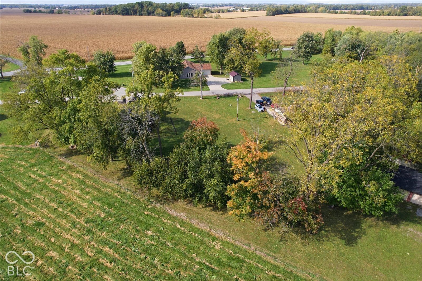 Aerial perspective of an expansive lot featuring mature deciduous trees, open lawn space, a paved driveway, and an auxiliary structure