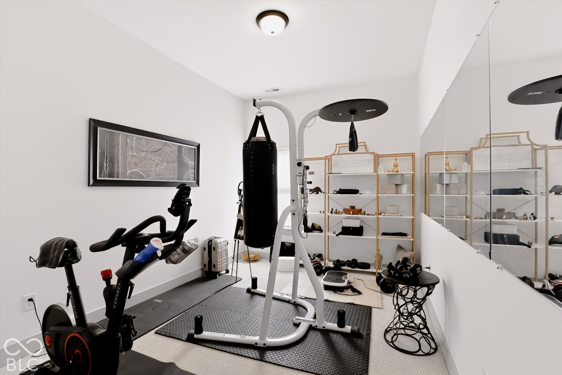 Room featuring neutral carpeting, a full-wall mirror, and flush-mount ceiling lighting