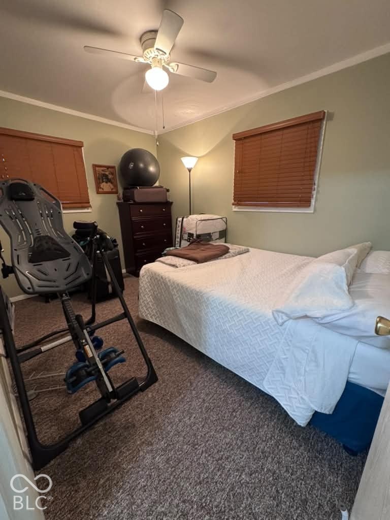906 S Patterson, Lebanon, IN 46052 Neutral-toned room featuring carpeting, dual windows with wood-finish blinds, and an integrated ceiling fan with a light fixture