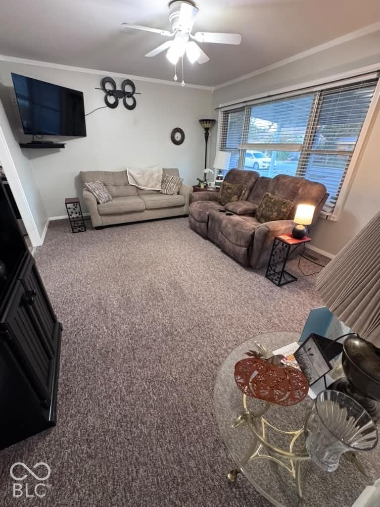 906 S Patterson, Lebanon, IN 46052 Neutral wall-to-wall carpeting, multi-light ceiling fan, and expansive horizontal windows with integrated blinds