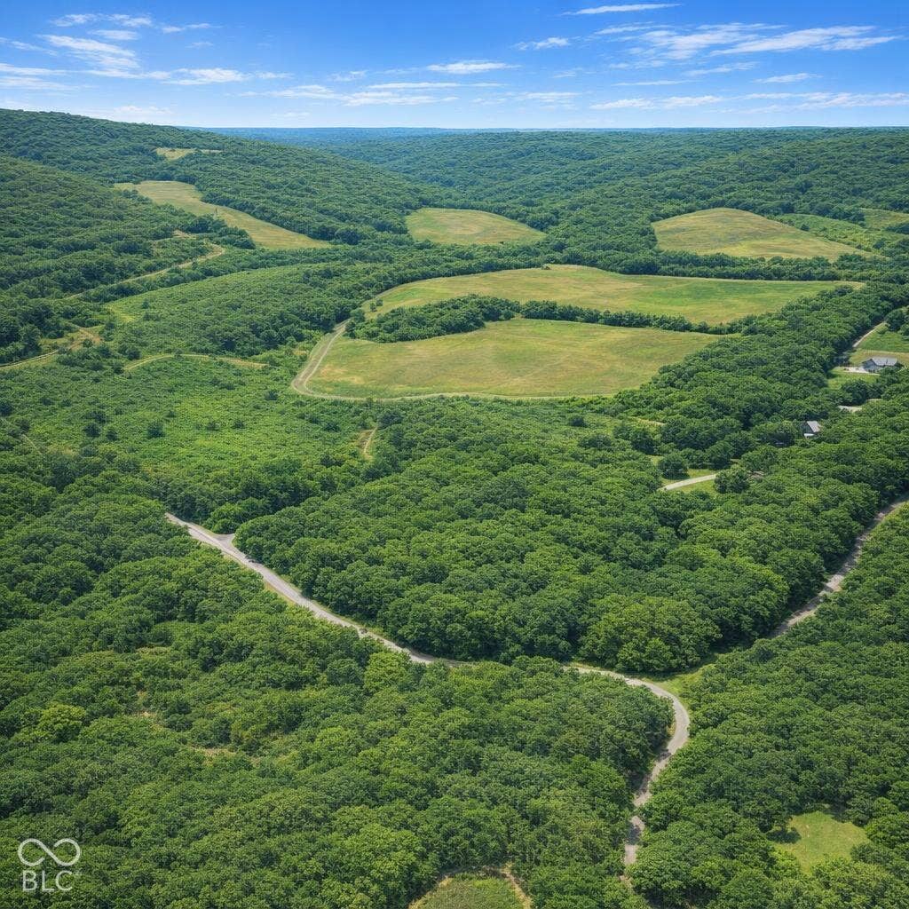 Expansive acreage featuring rolling topography, established forest canopy, cleared pasture land, and paved access roads