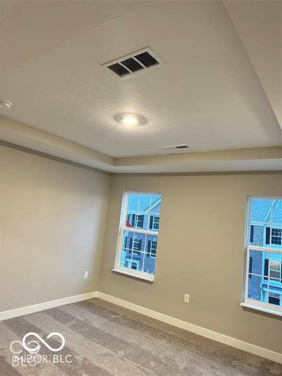 Tray ceiling featuring recessed lighting and dual windows with grid muntins