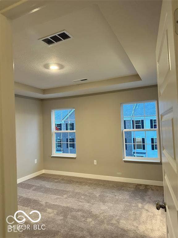 Tray ceiling featuring recessed lighting and dual windows with grid detailing, finished with neutral wall paint and carpeting