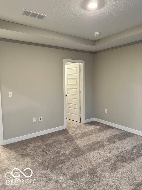 Interior room featuring a tray ceiling, neutral wall tones, plush carpeting, and a five-panel interior door