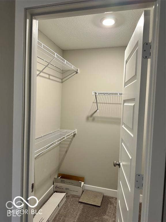 Walk-in closet featuring white wire shelving, wall-to-wall carpeting, and a recessed ceiling light