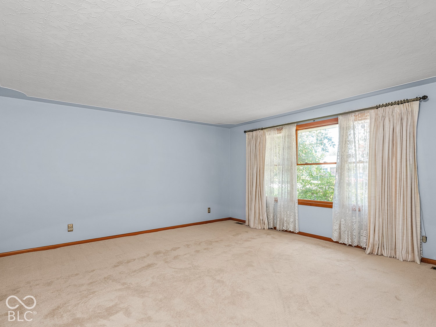 Spacious room featuring neutral carpeting, light blue wall paint, and a large multi-pane window with wood-trim framing