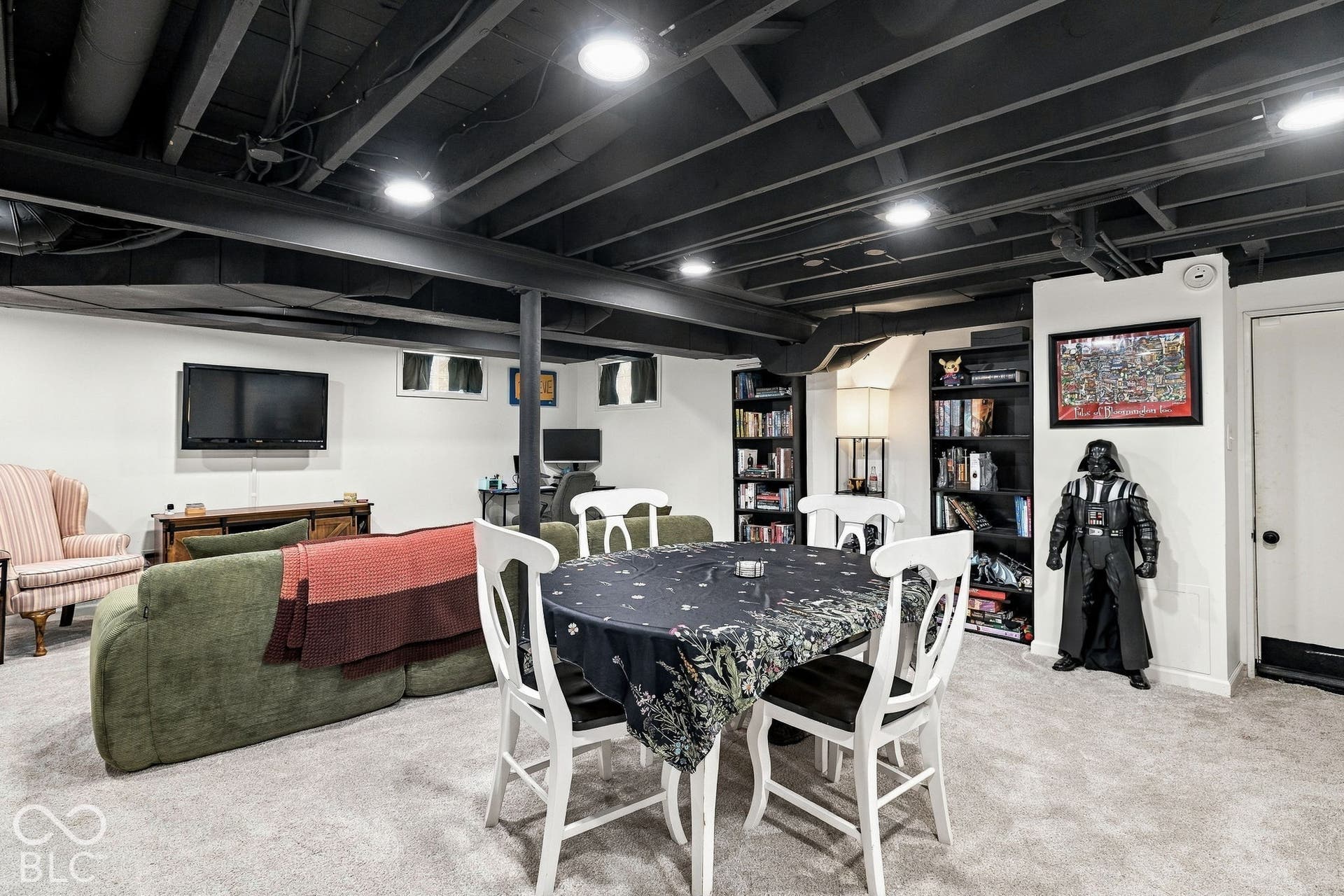 Bonus Room in Basement