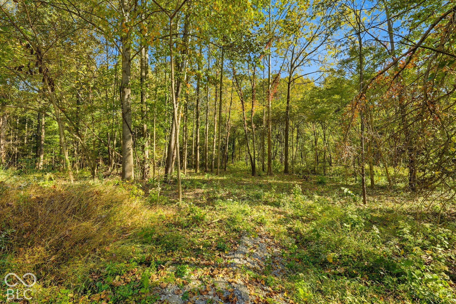 4843 Cunot Cataract Road, Poland, IN 47868
