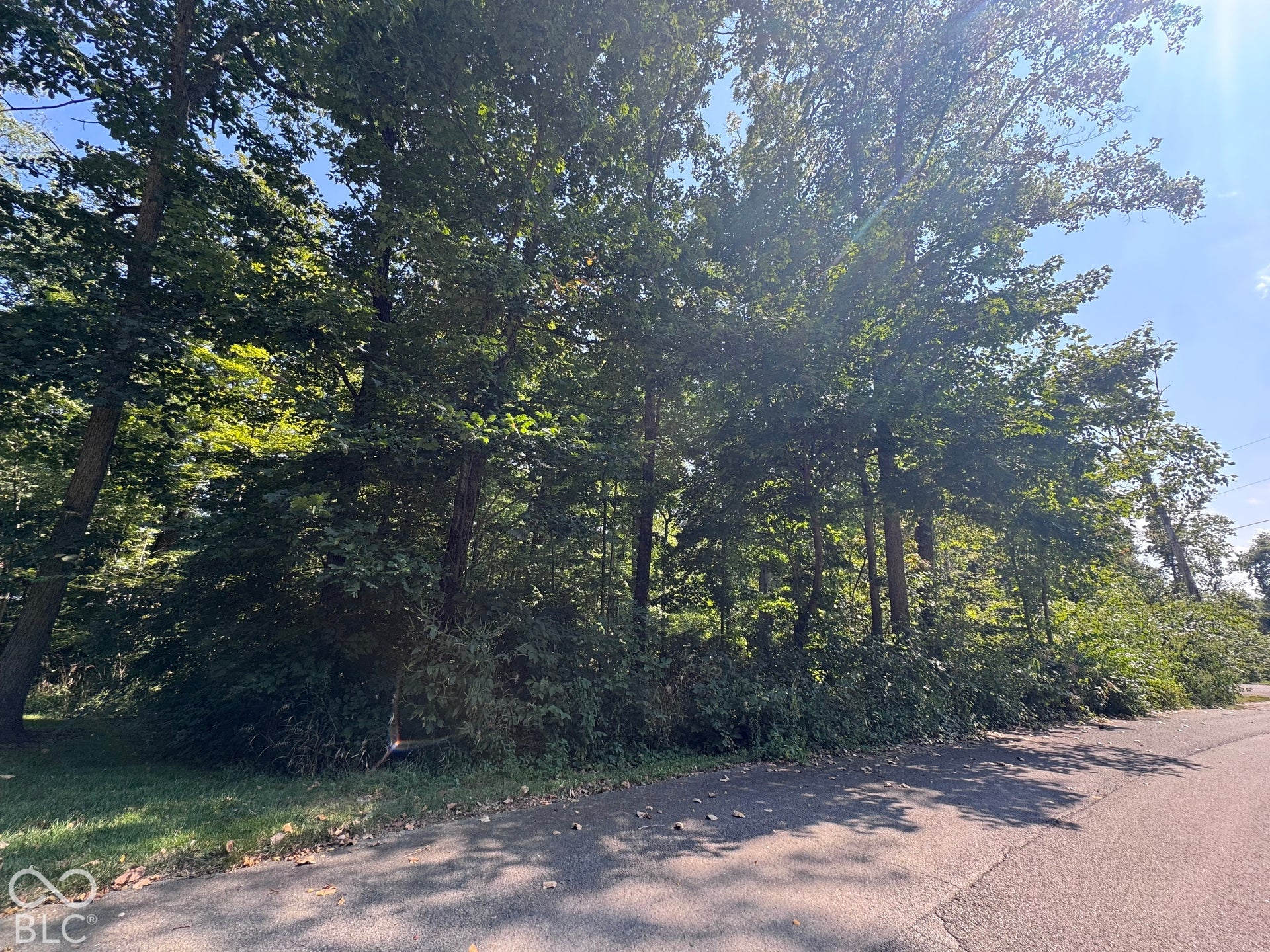 0 Lakewood Drive, Middletown, IN 47356