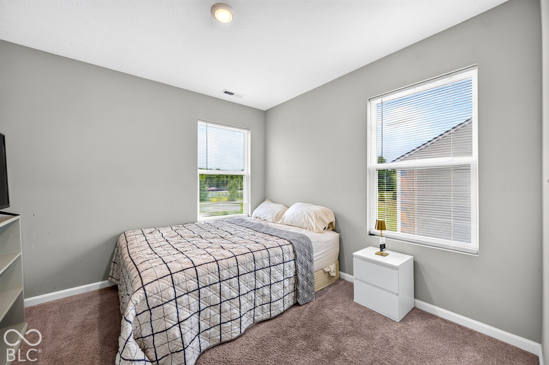 Neutral-toned interior walls, plush wall-to-wall carpeting, two dual-pane windows, and a flush-mount ceiling light fixture