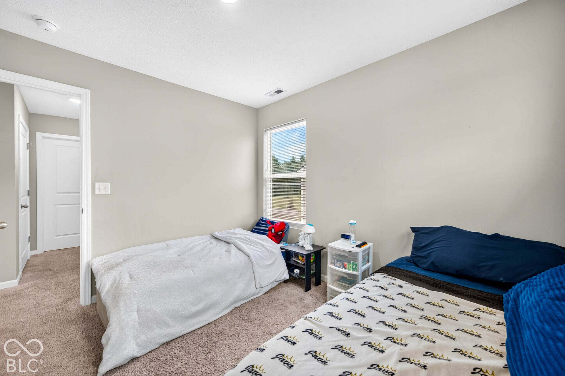 Neutral-toned interior space featuring neutral wall paint, plush carpeting, a single-pane window, and white interior door