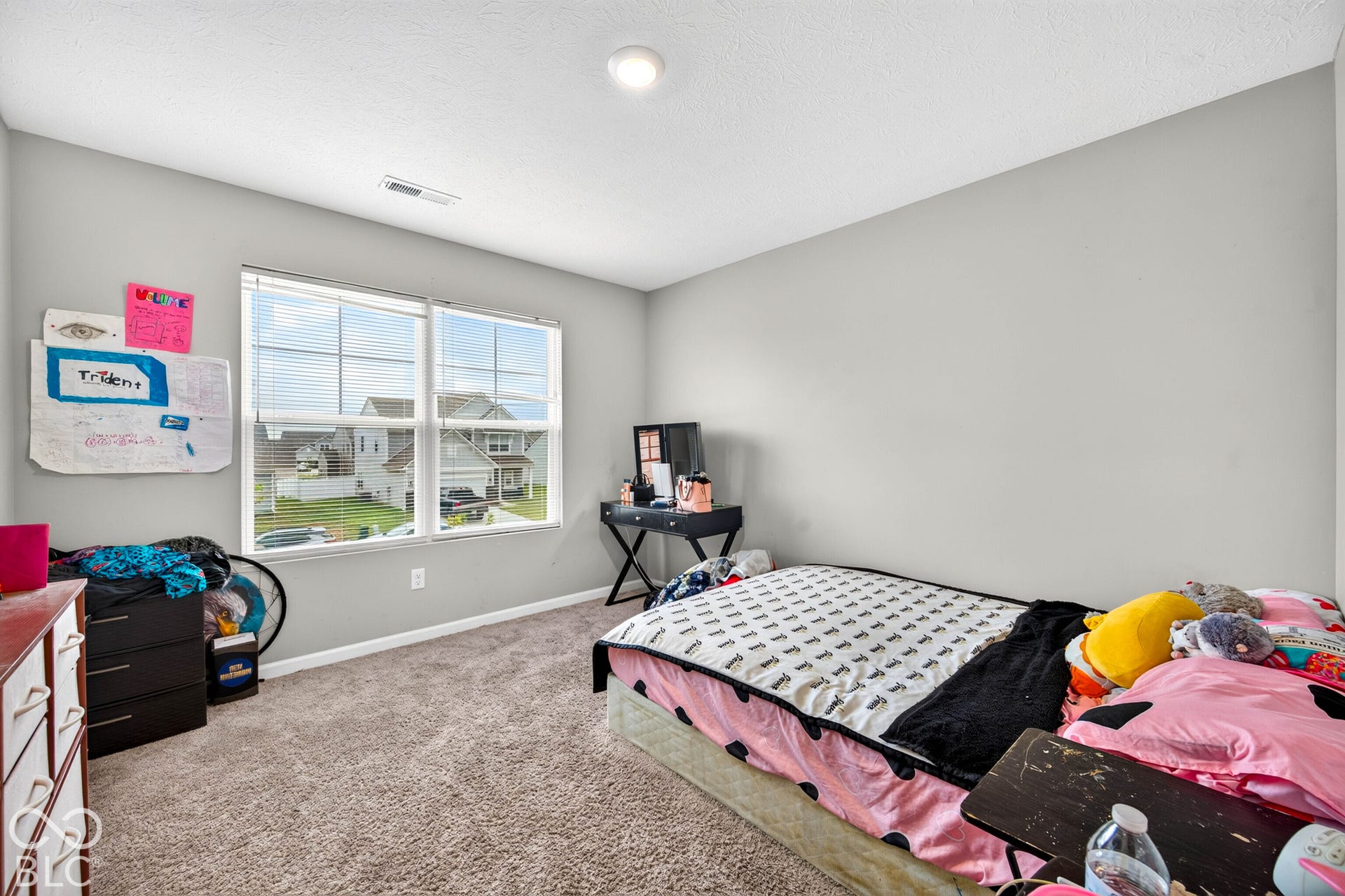 Neutral wall paint, plush carpeting, and double-pane windows with horizontal muntins