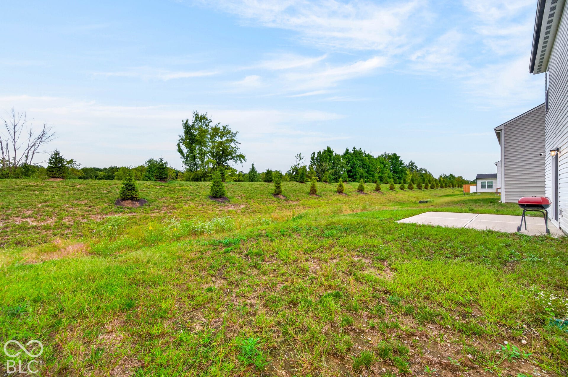 Expansive backyard featuring a concrete patio, sloped grass lawn, and a row of evergreen trees along the perimeter