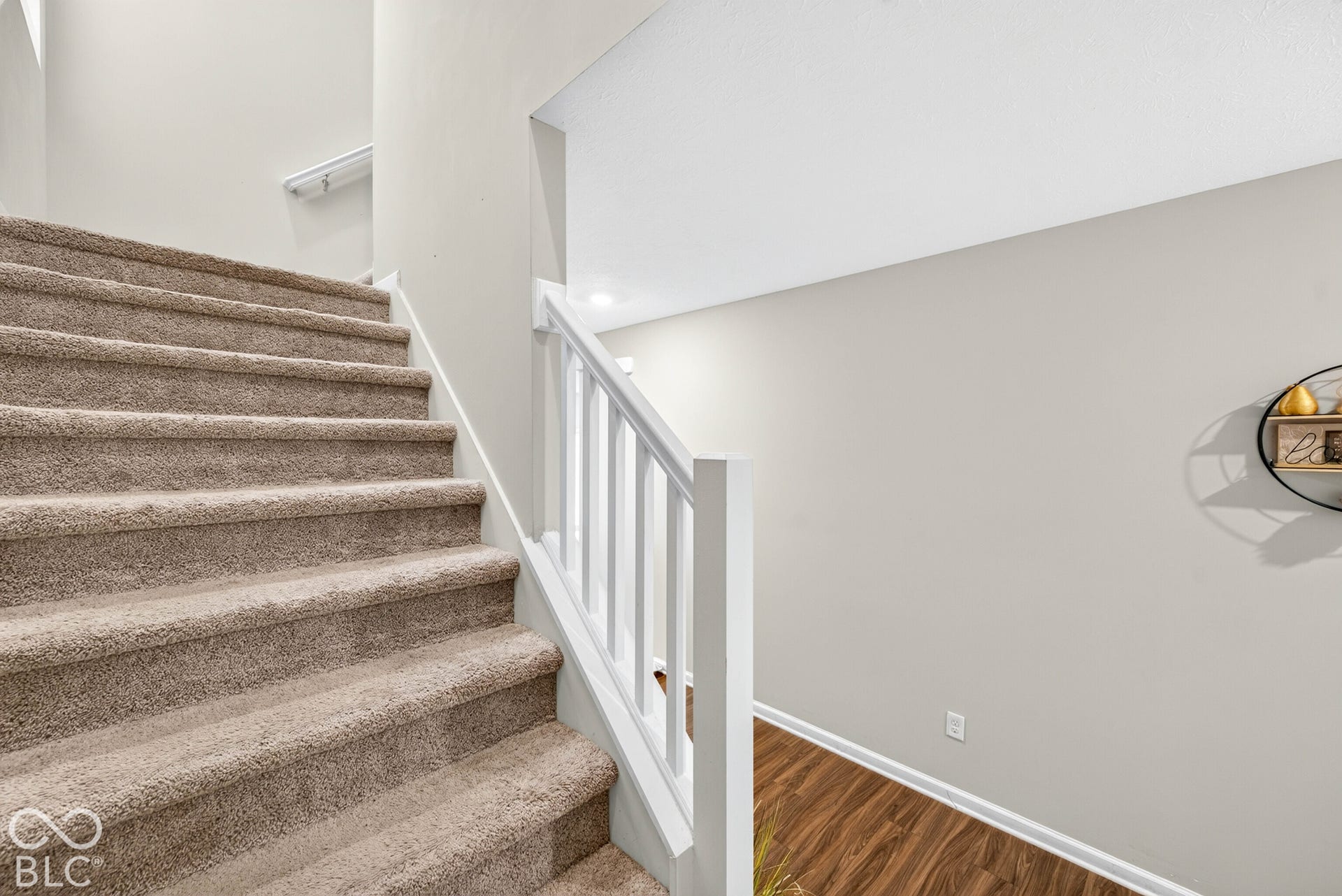 Staircase featuring neutral carpeting, white railing with vertical balusters, and wood-finish flooring