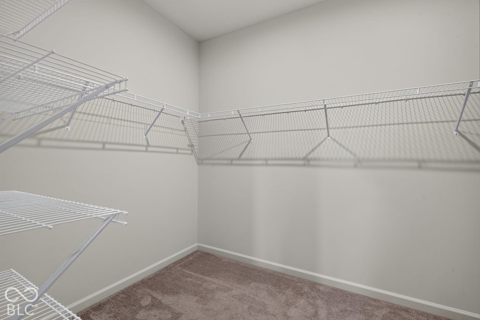 Walk-in closet featuring wall-to-wall carpeting and tiered white wire shelving
