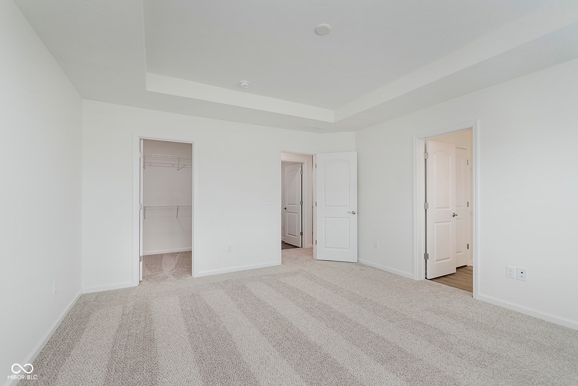 unfurnished bedroom with carpet, a walk in closet, and a tray ceiling