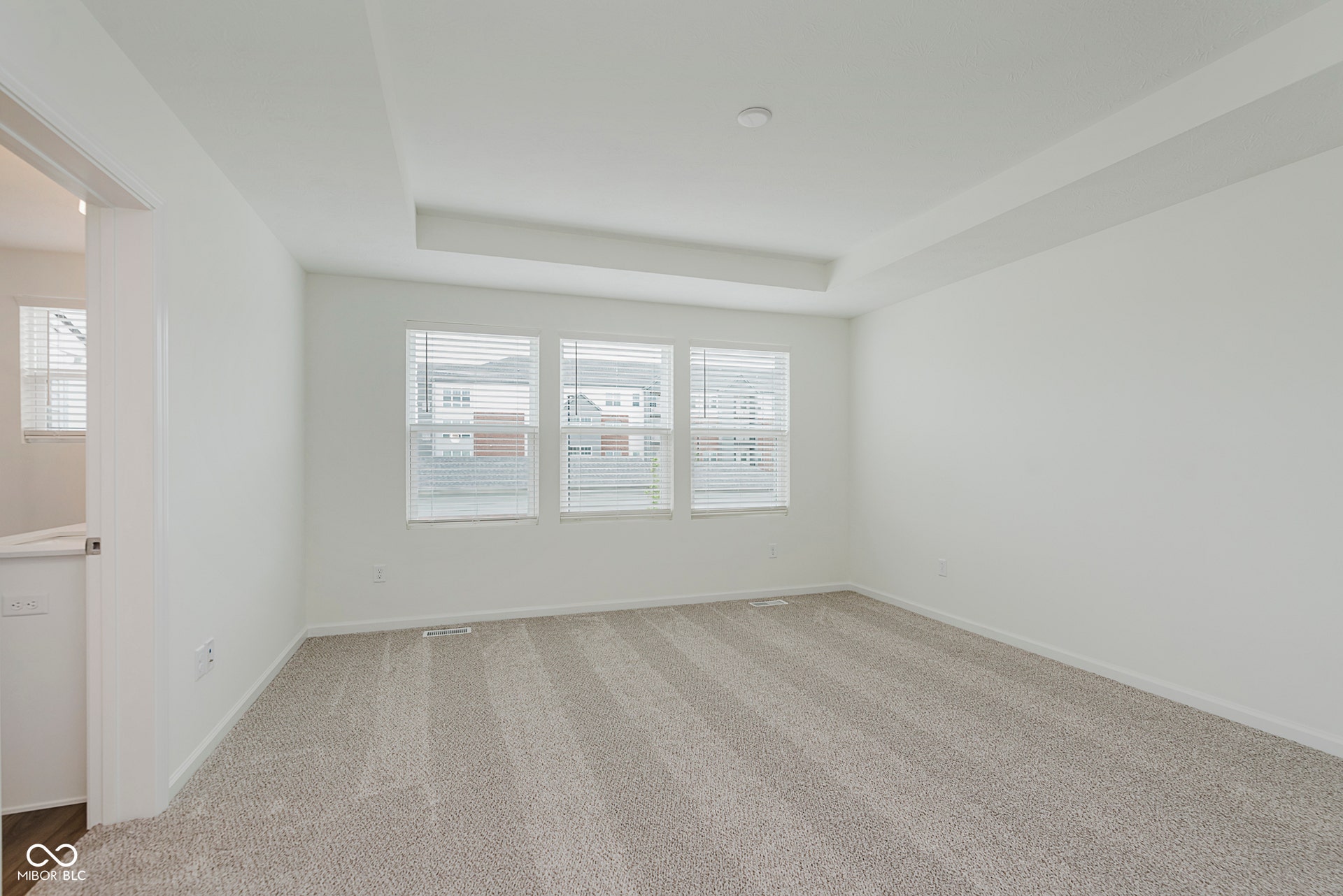 empty room featuring a raised ceiling, carpet, and plenty of natural light