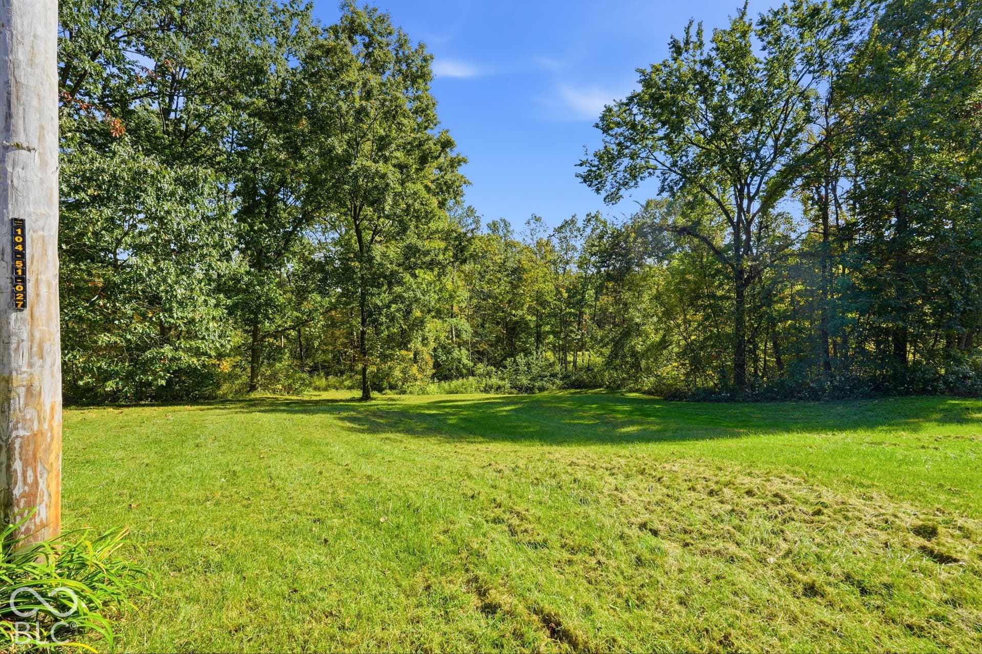 Open parcel featuring a grass lawn and mature trees