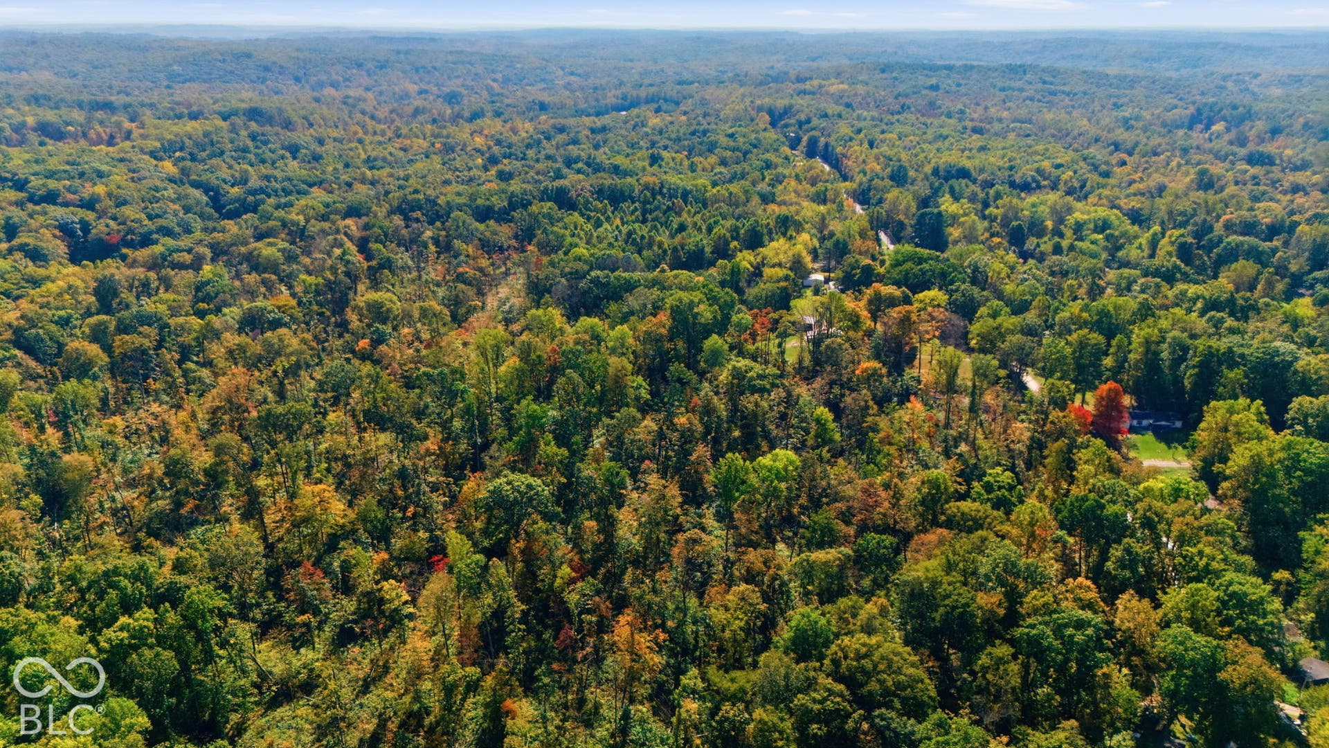 Expansive acreage featuring dense mature hardwood canopy and rolling terrain