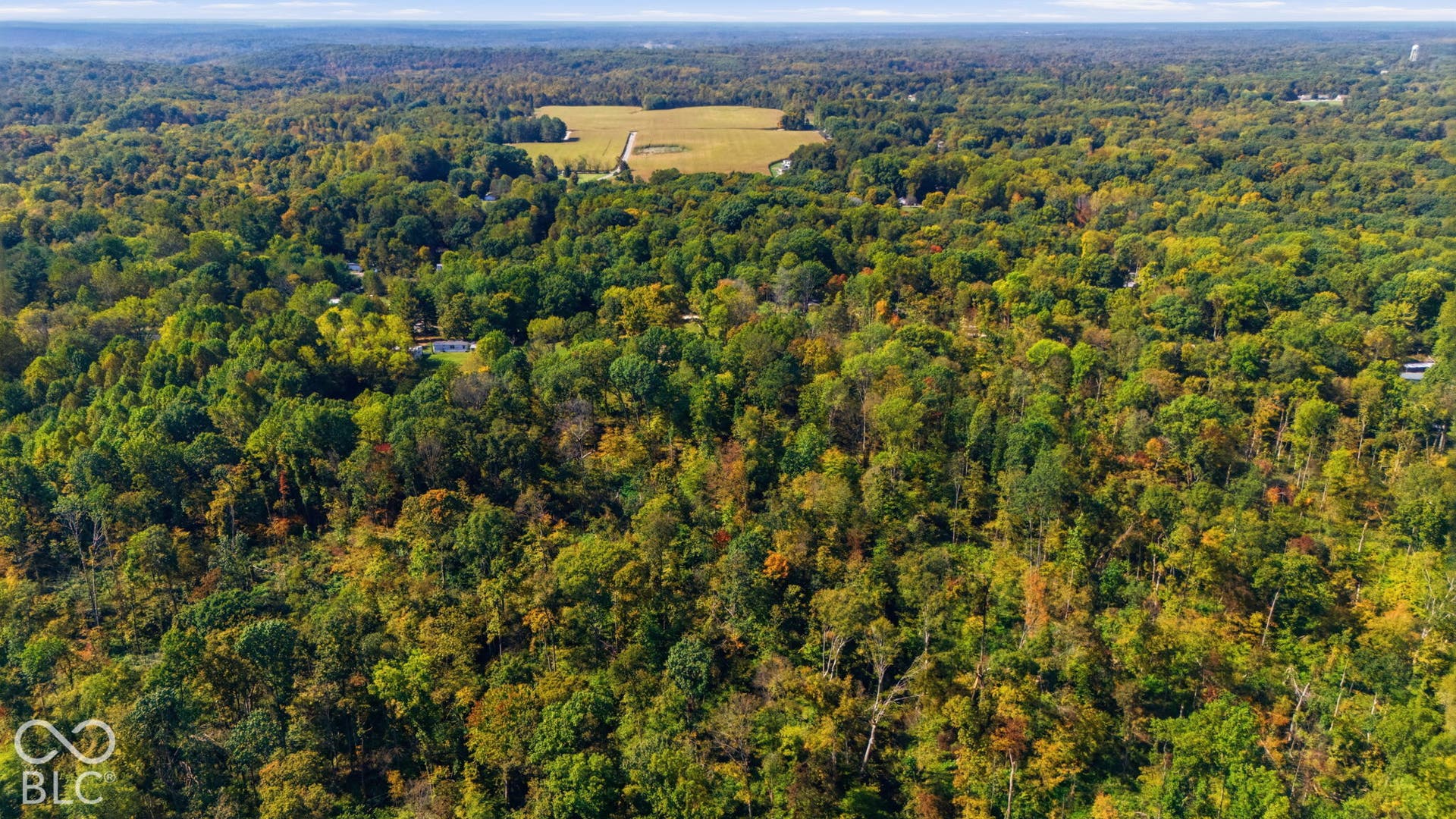 Aerial perspective of expansive acreage featuring mature hardwood canopy, dense woodland foliage, and open agricultural terrain