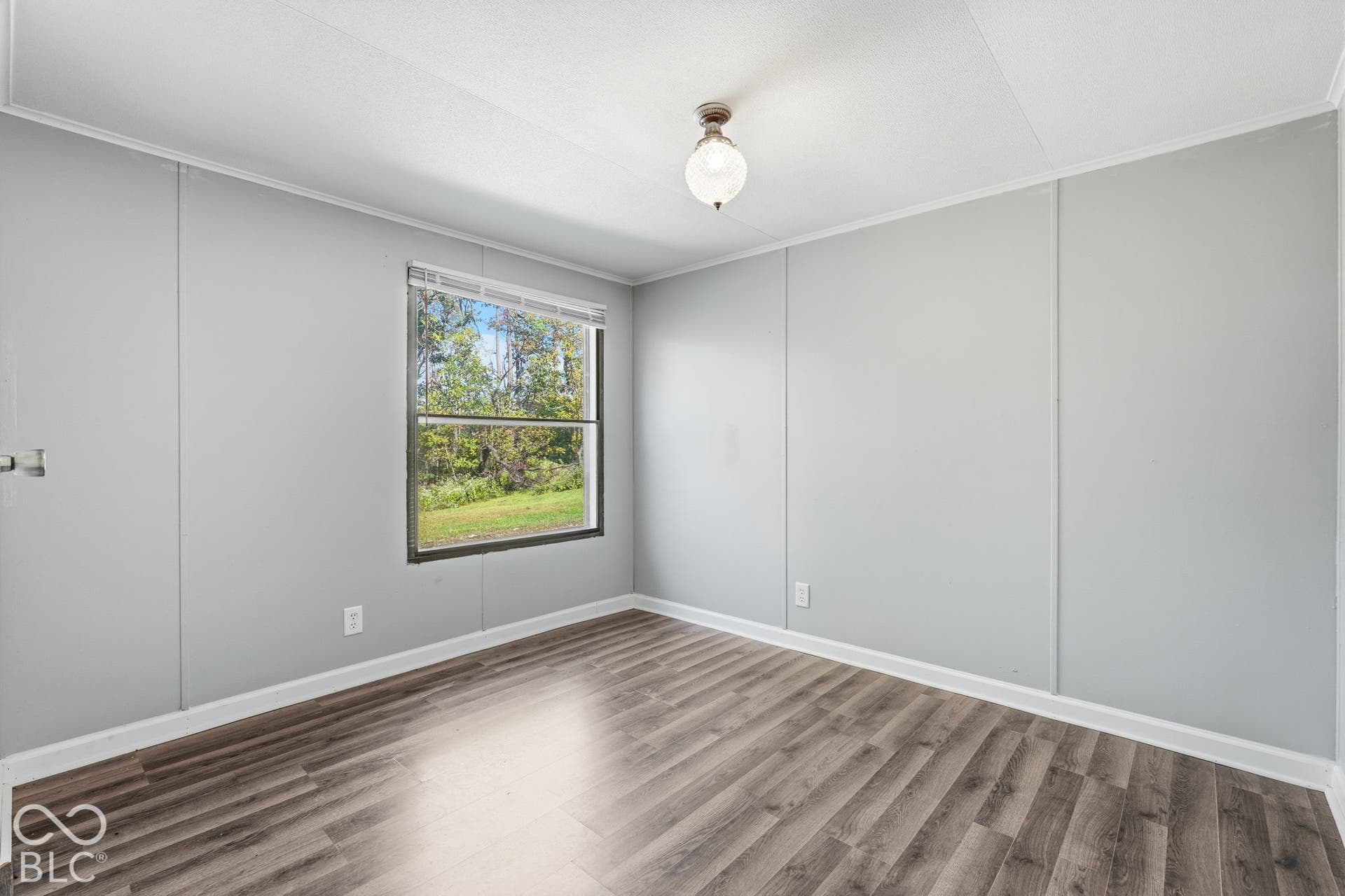 Interior room featuring wood-finish flooring, light grey paneled walls, a single-hung window, and a globe-style flush mount ceiling light fixture