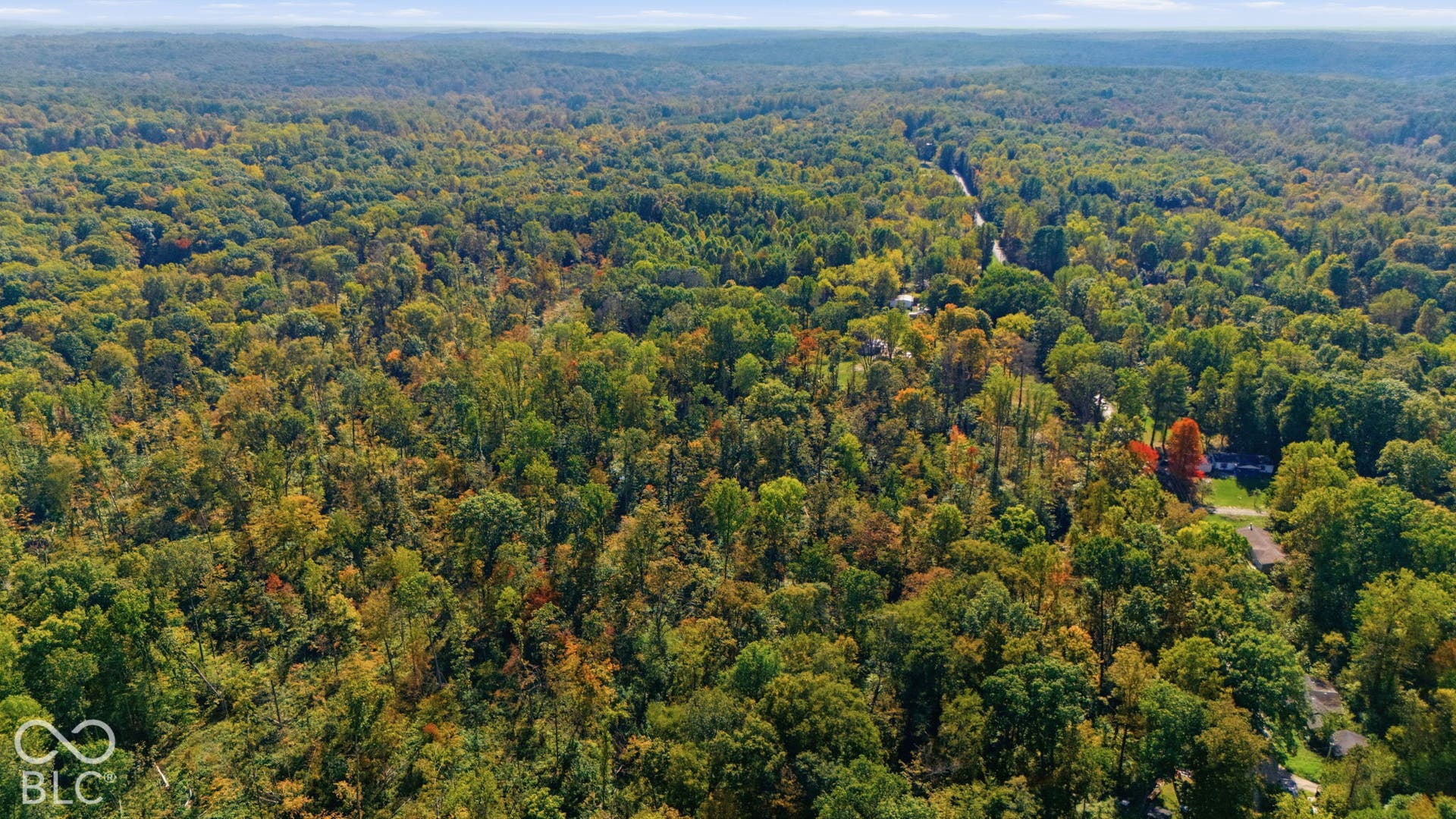 Aerial perspective featuring dense mature canopy and expansive wooded acreage