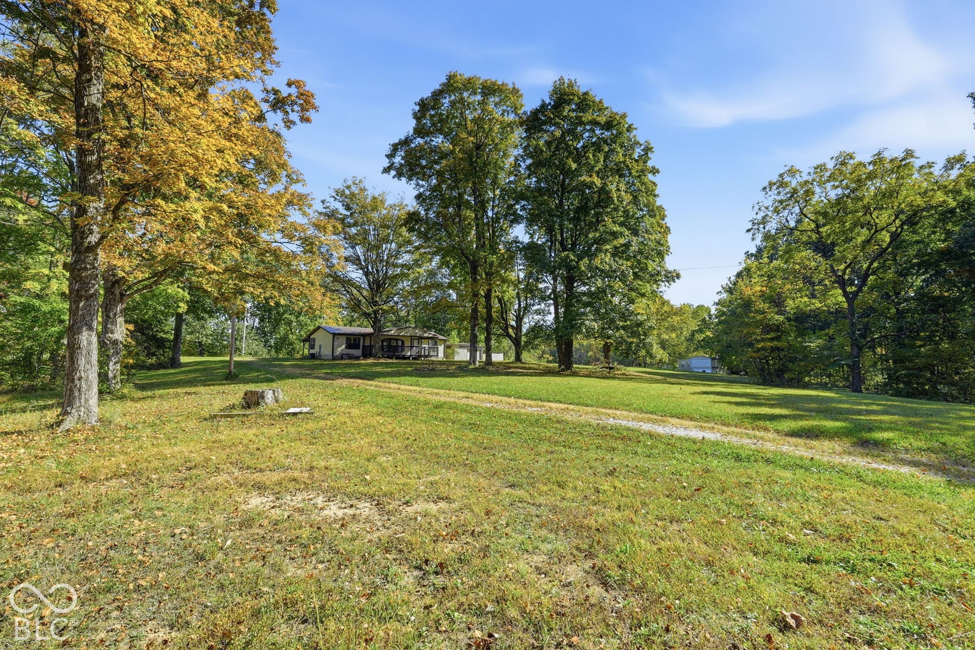 Expansive lot featuring mature hardwood trees and a gravel driveway leading to a single-story residence with an attached deck