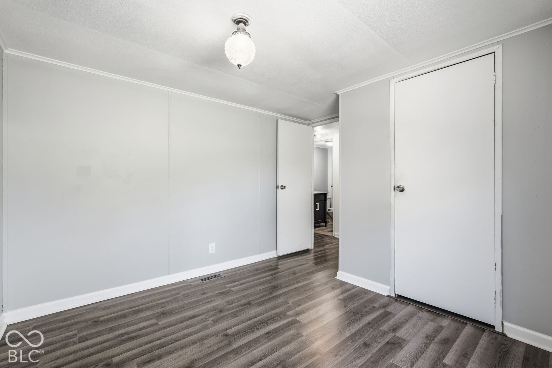 Interior space featuring wood-finish flooring, light grey wall treatments, a globe-style flush mount ceiling light fixture, and two interior doors with brushed nickel hardware