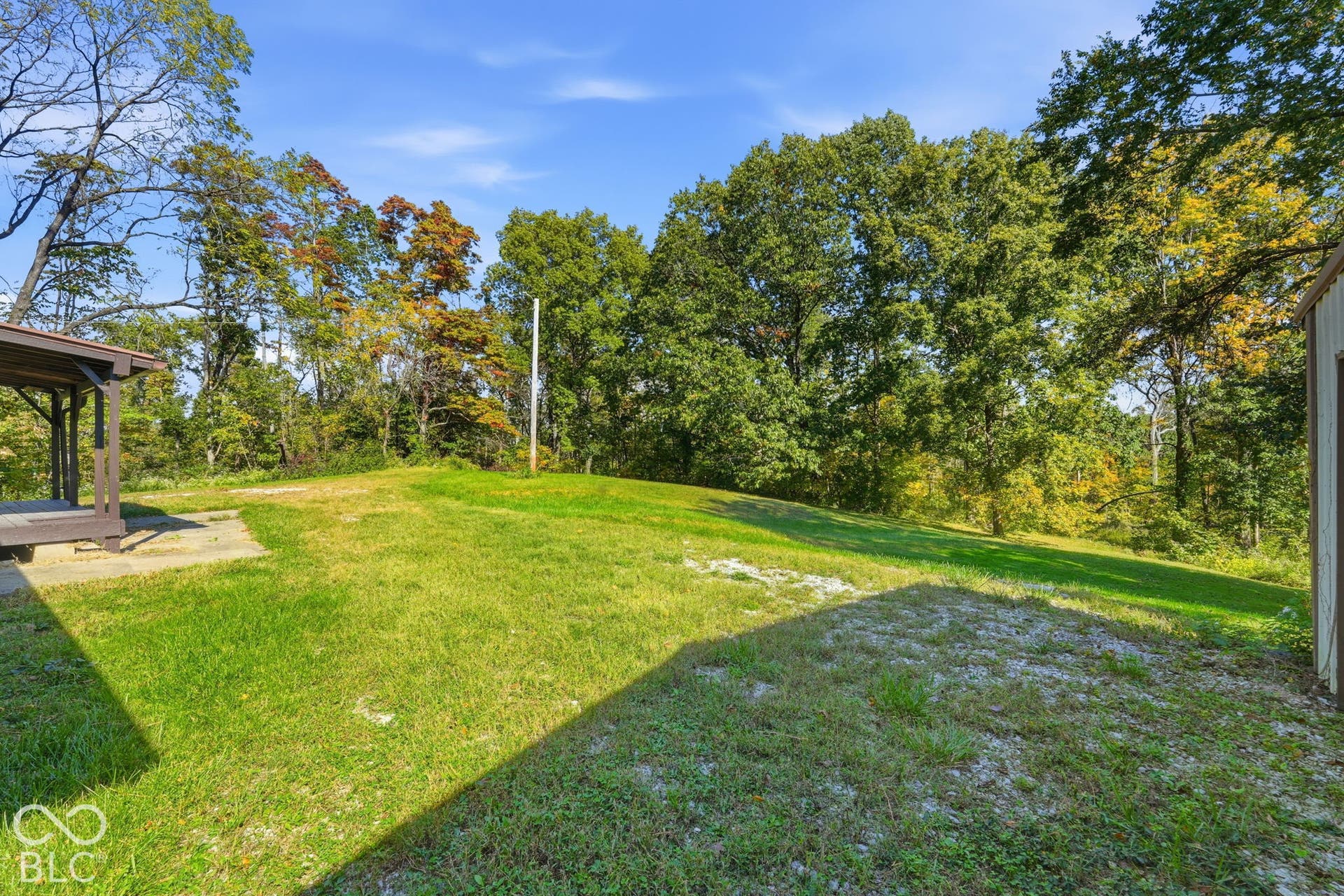 Expansive grassy backyard featuring mature perimeter trees, a concrete patio area, and an exterior storage structure