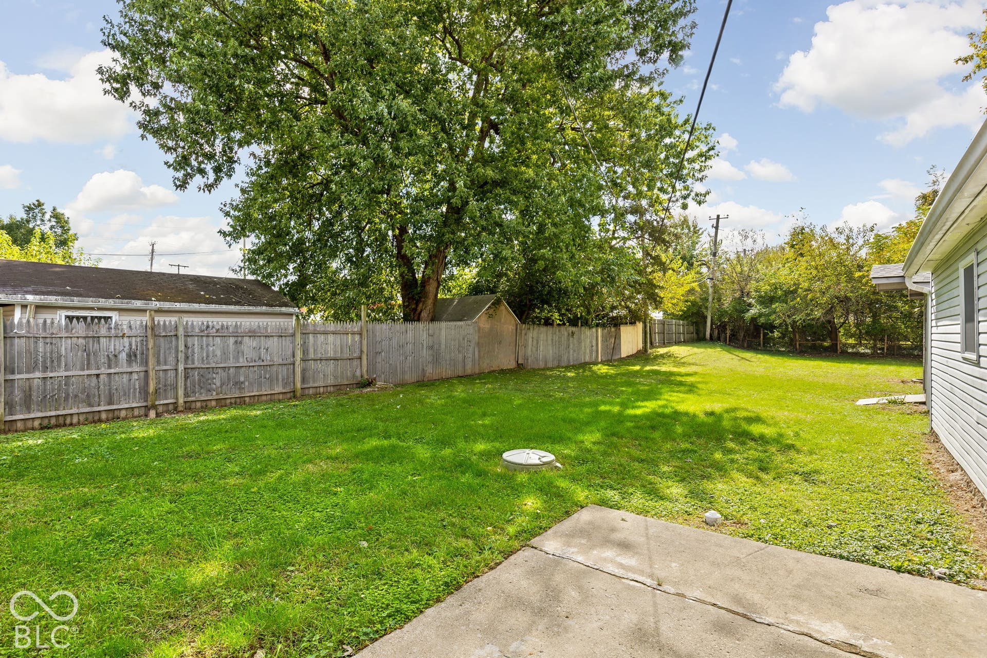 Expansive backyard featuring a concrete patio, wood-style privacy fencing, and mature trees