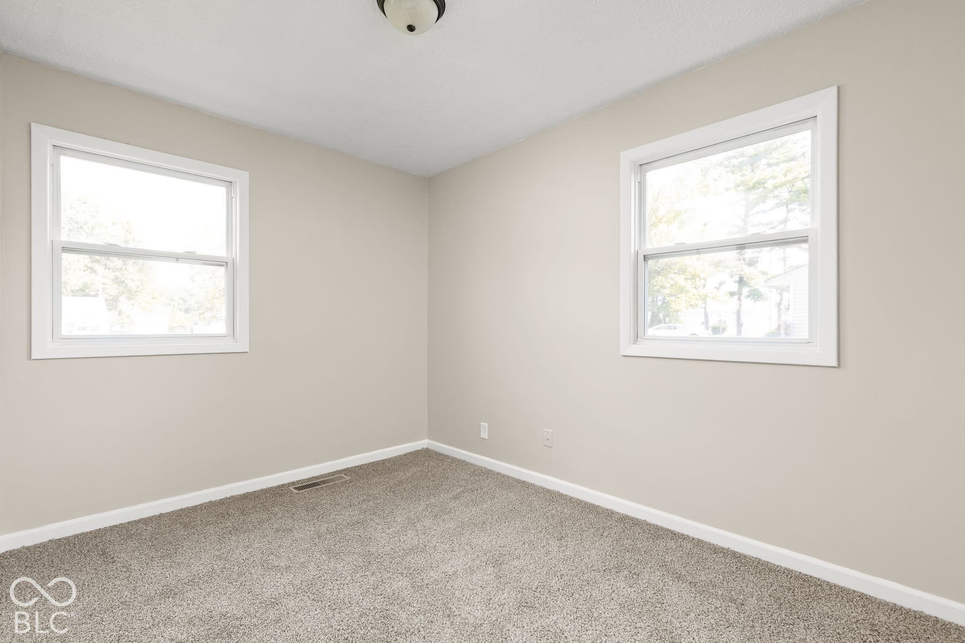 Neutral-toned interior featuring wall-to-wall carpeting, two double-hung windows with white trim, and a center ceiling-mounted light fixture