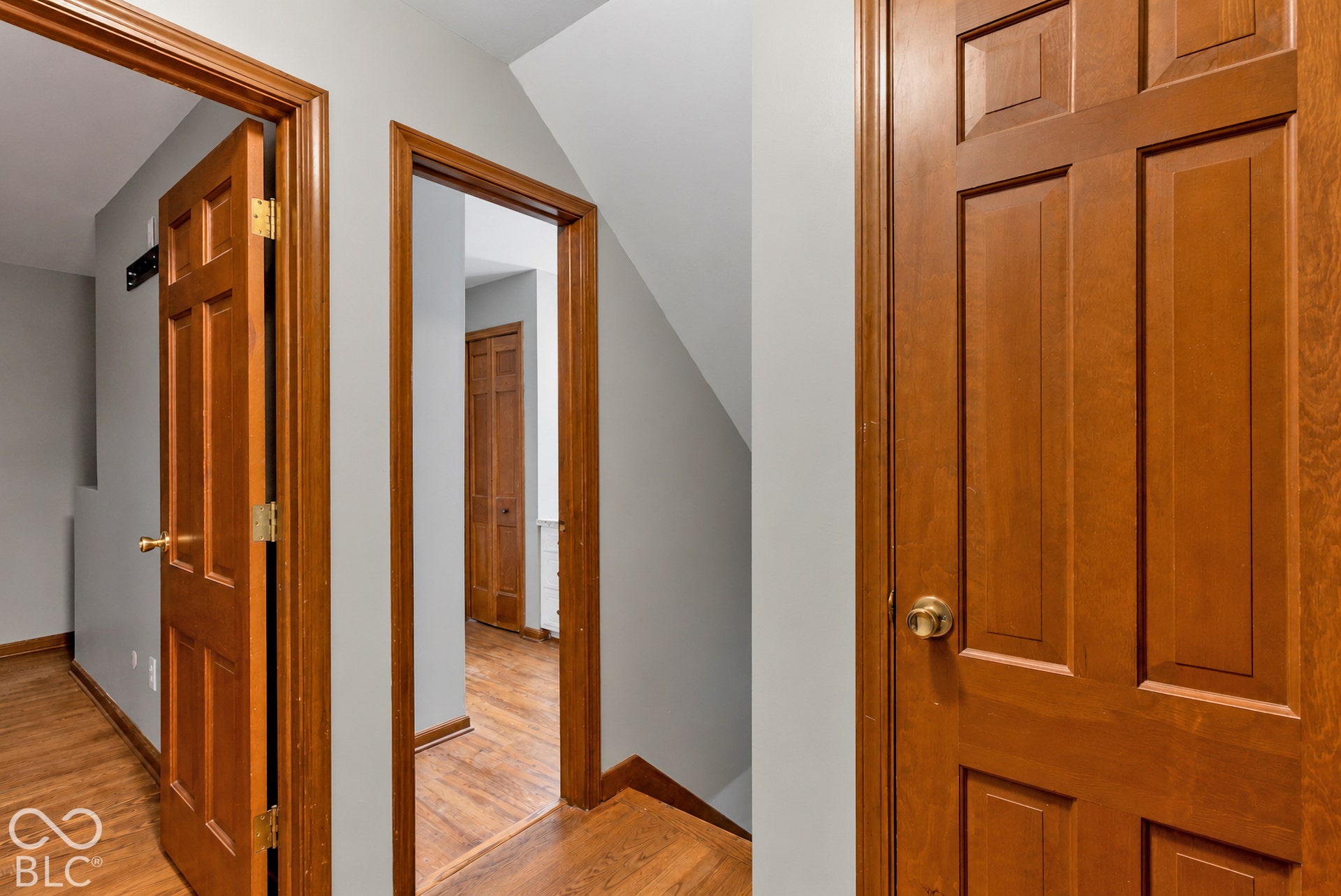 Six-panel stained wood doors with polished brass hardware, wood-finish flooring, and wood door casing
