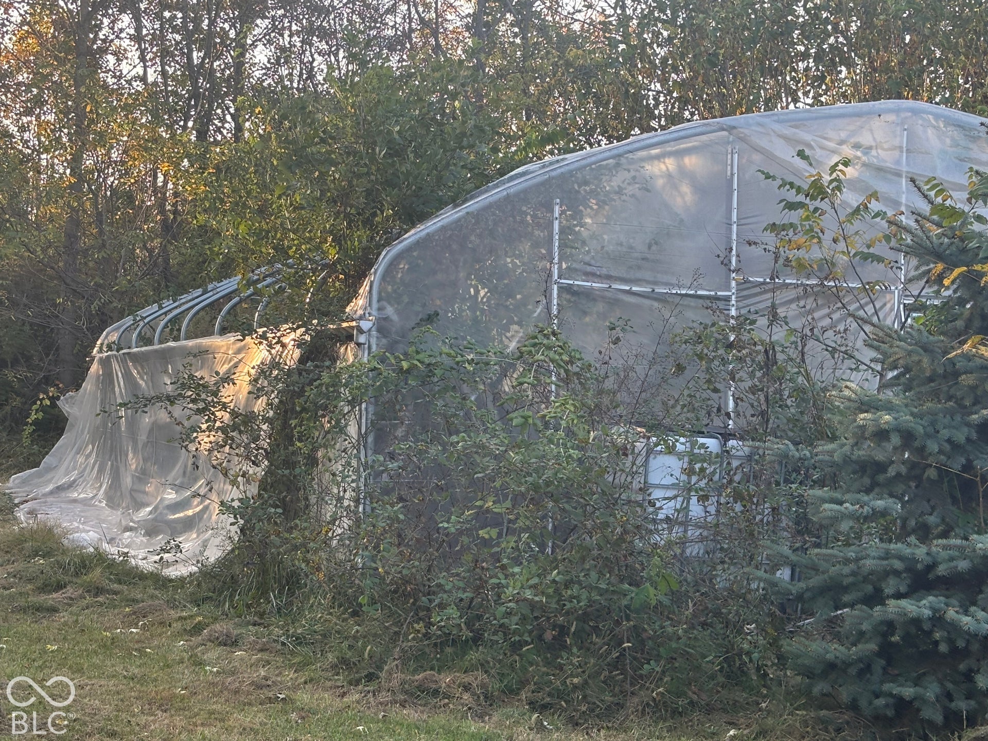 Frame of the high tunnel greenhouse frame