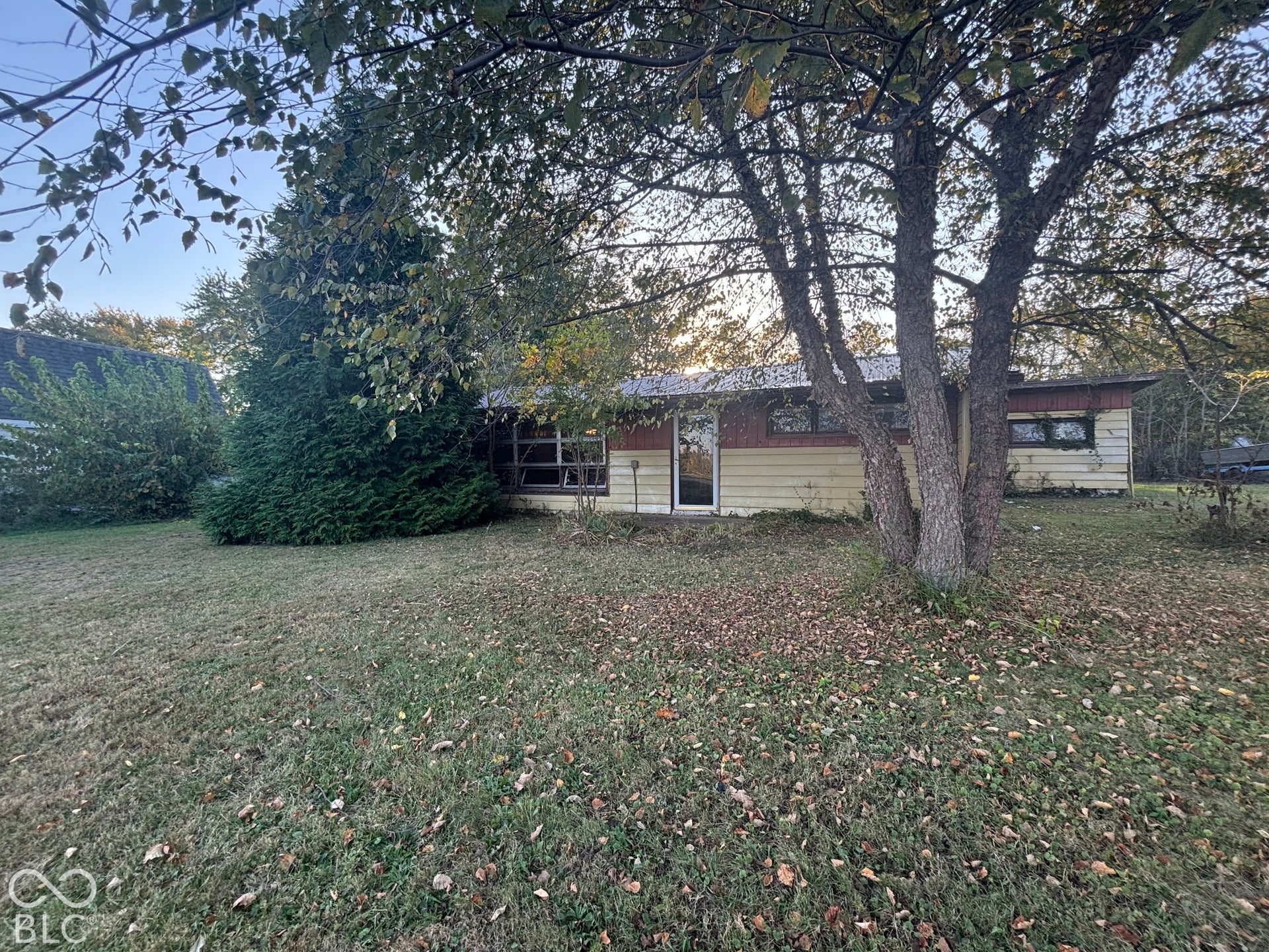 Single-story exterior featuring multi-toned horizontal siding, expansive windows, and mature trees on a level lot