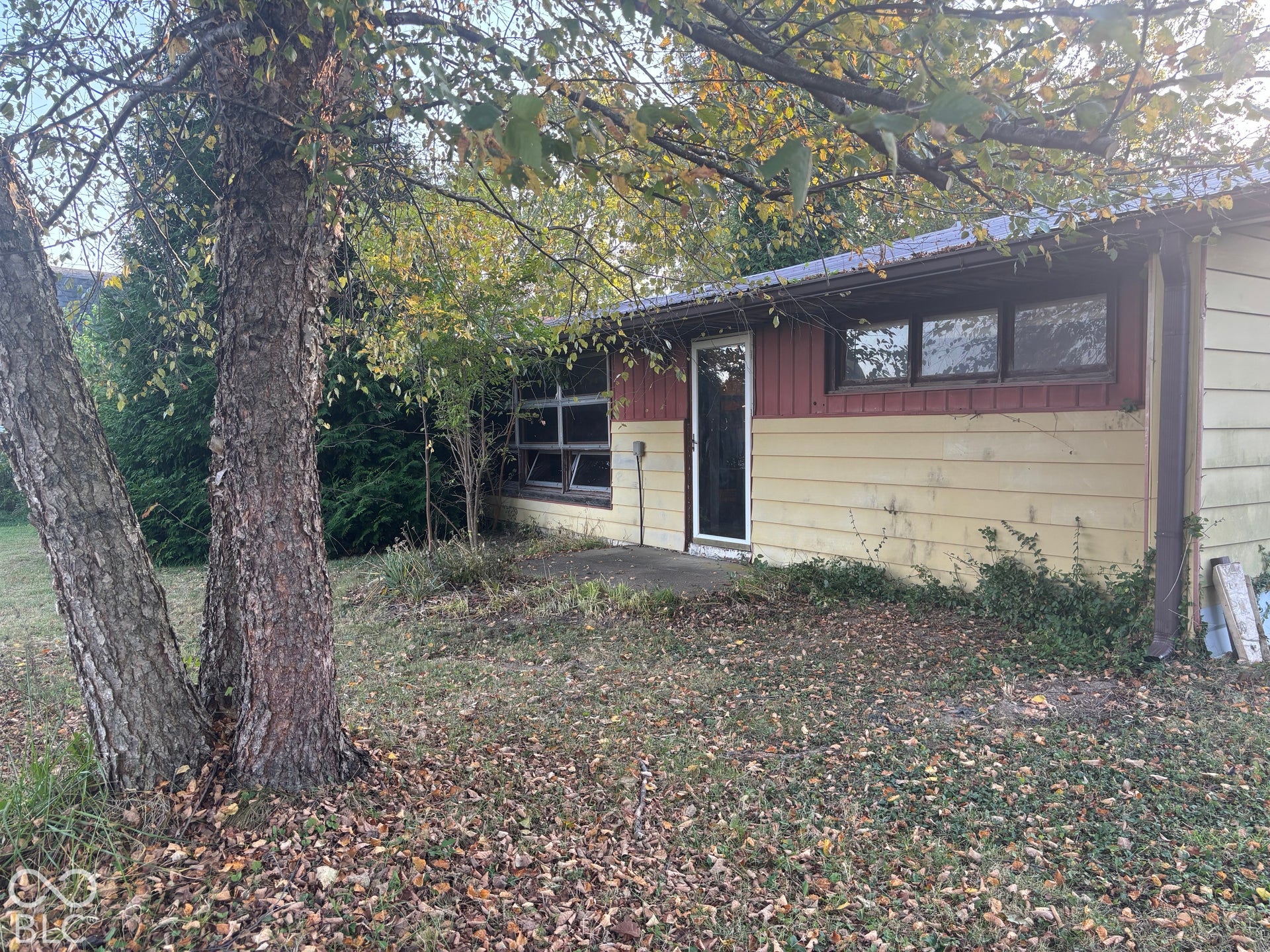 Exterior facade featuring mixed siding, horizontal window banks, a glass-panel entry door, and concrete porch slab
