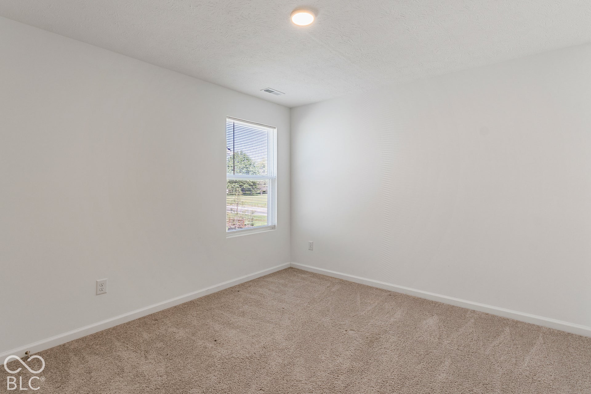 10120 Bitternut Run Lane, Indianapolis, IN 46259