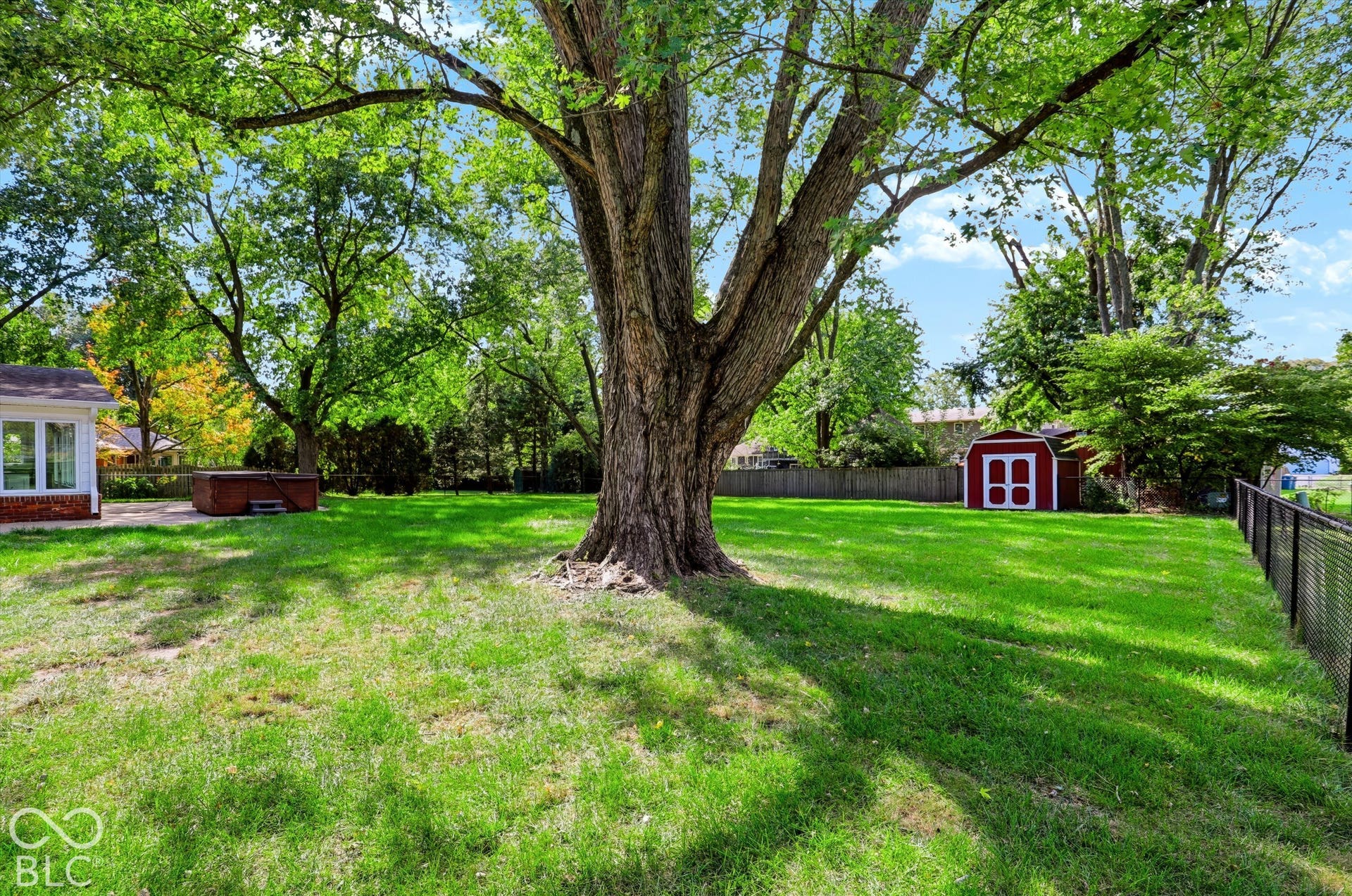 Expansive backyard featuring a large central tree, perimeter fencing, and a detached storage structure