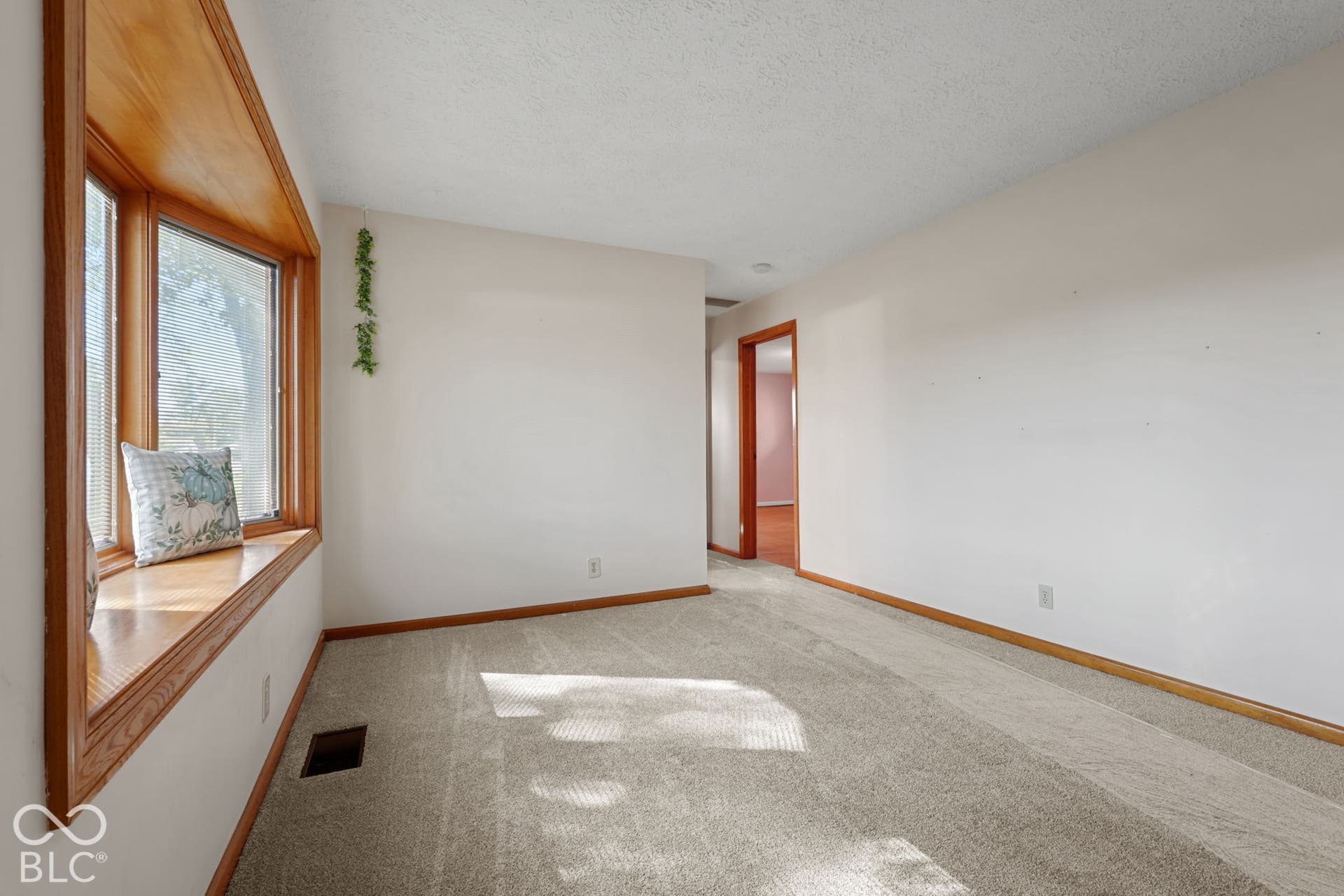 280 Anniston, Indianapolis, IN 46227 Bay window featuring natural wood-finish trim and a built-in window seat, neutral carpeted flooring, and wood-finish door casing