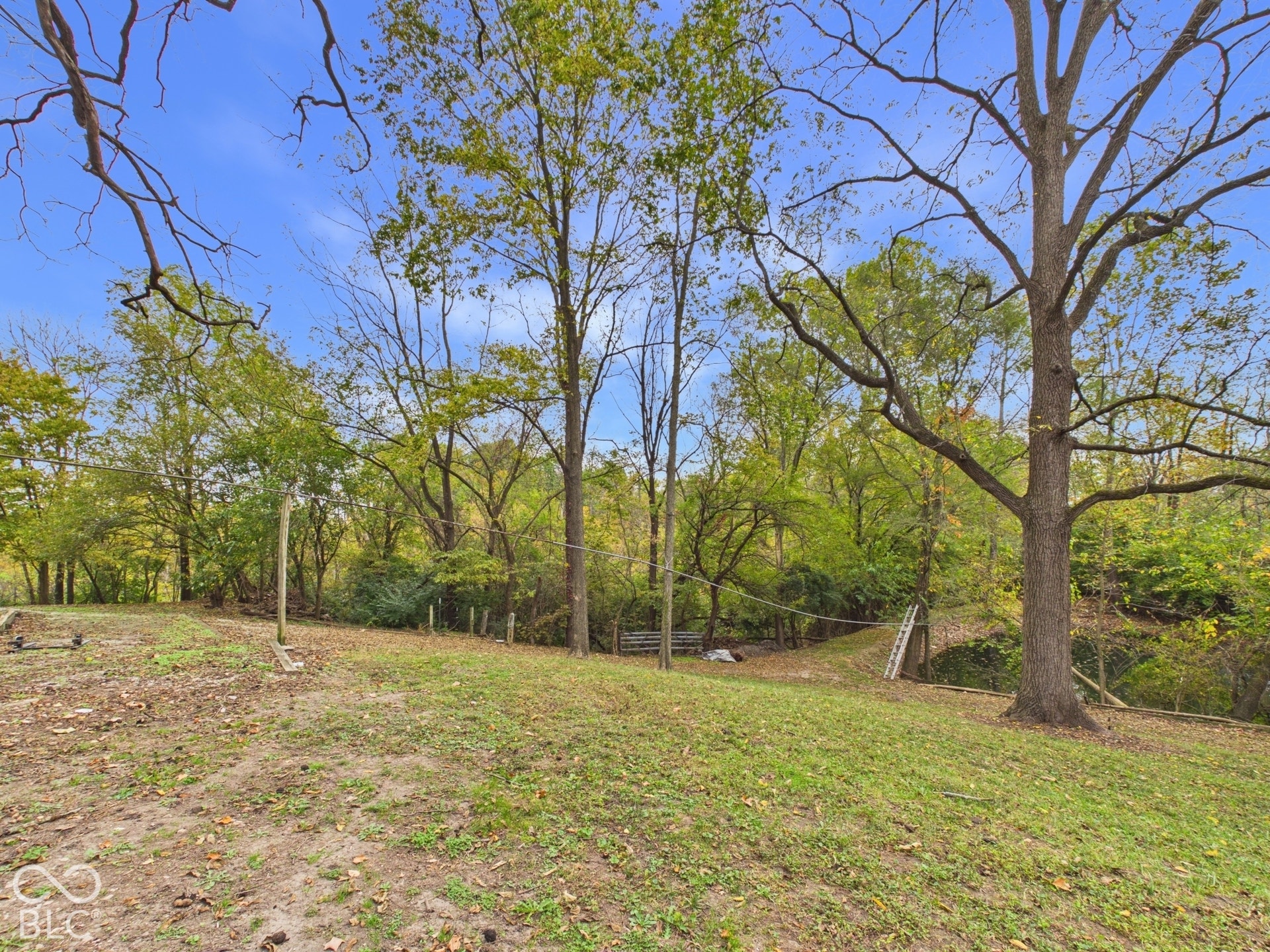 Expansive backyard featuring mature hardwood trees and a natural, wooded perimeter