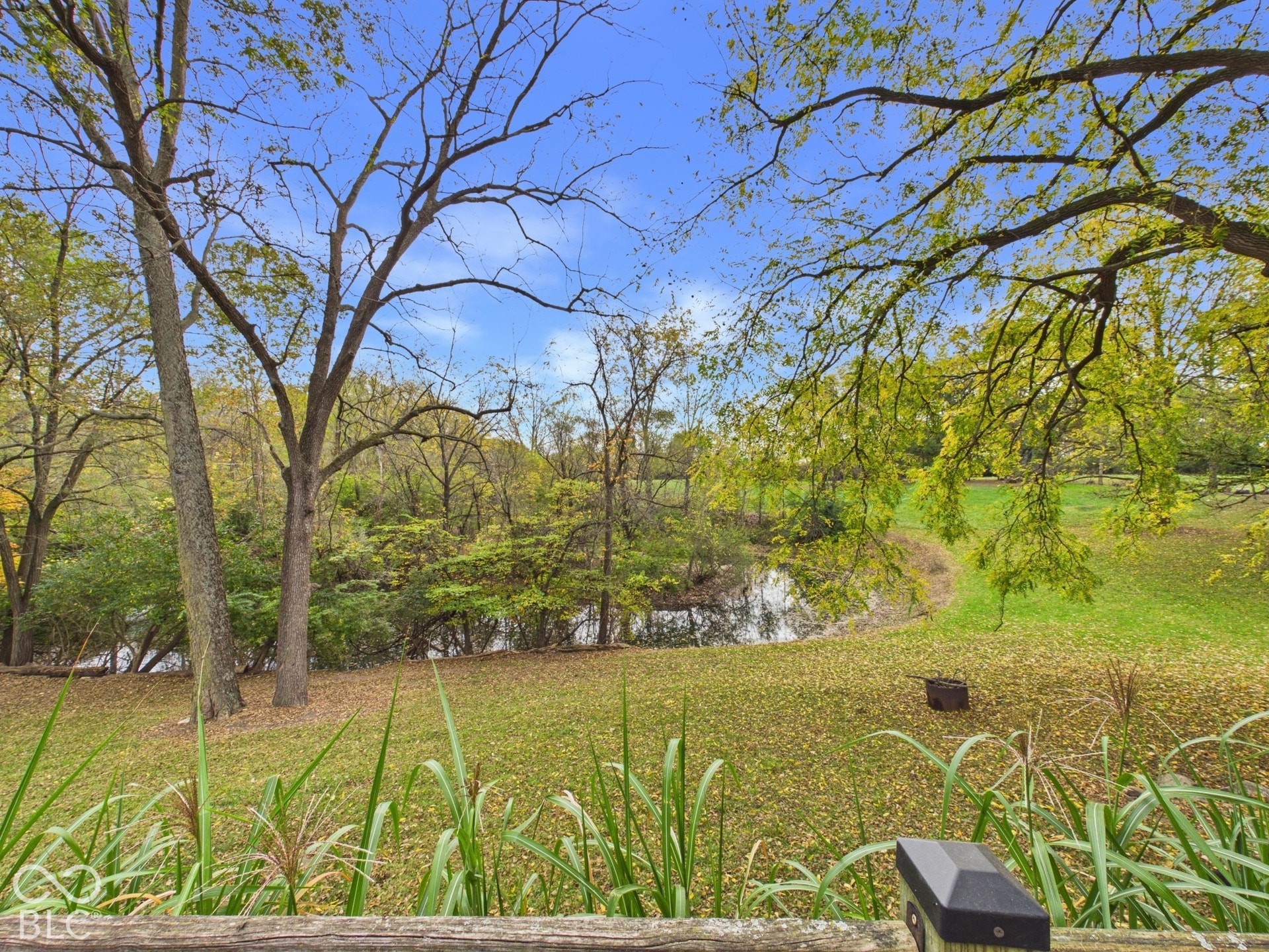 Expansive grounds featuring a private pond, mature trees, and open green space