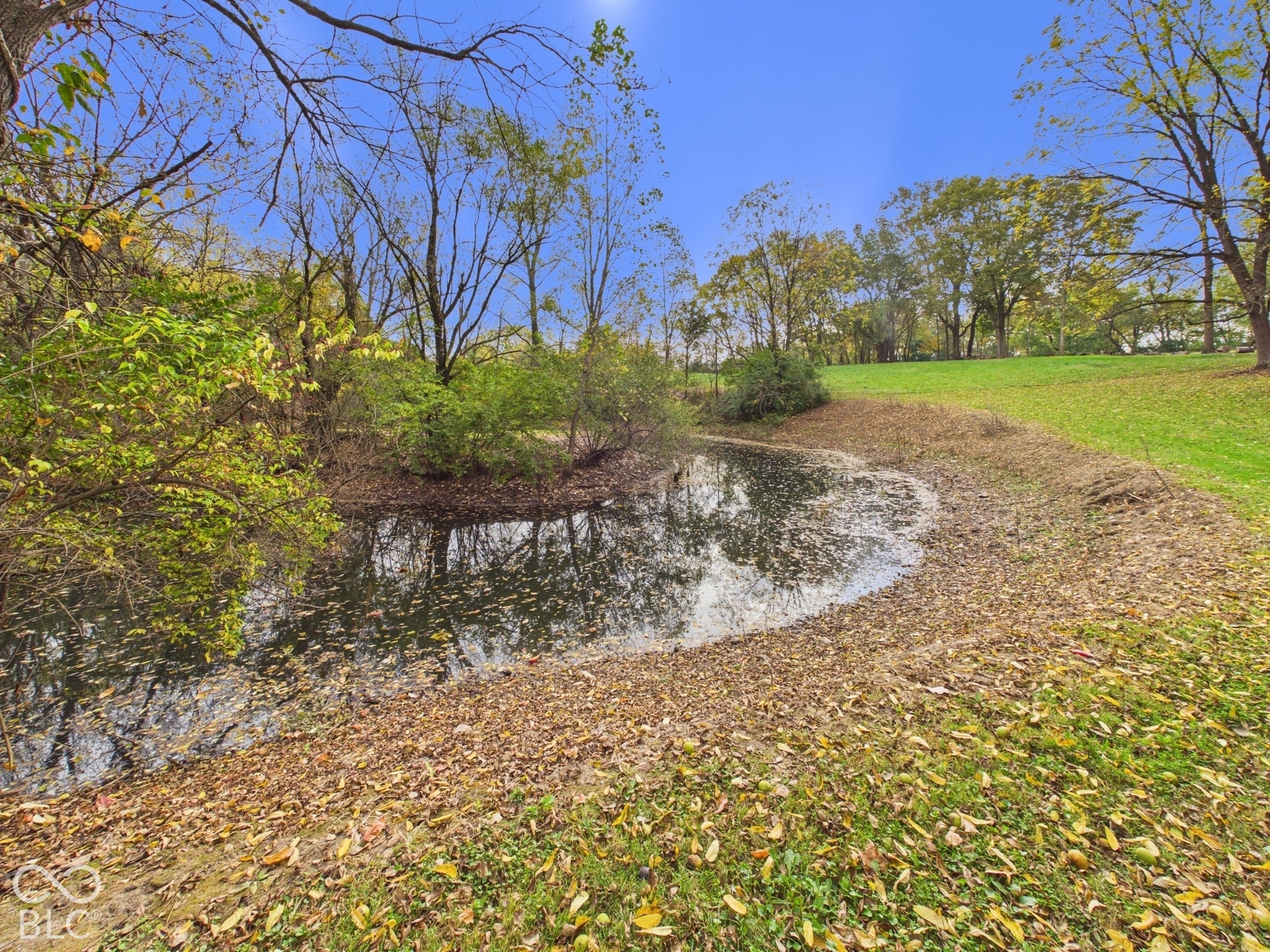 Natural pond situated on a grass-covered lot featuring mature trees and wooded perimeter