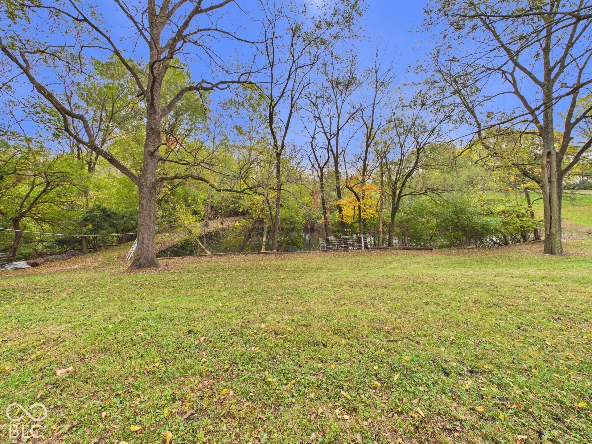 Expansive lawn area featuring mature hardwood trees and water frontage