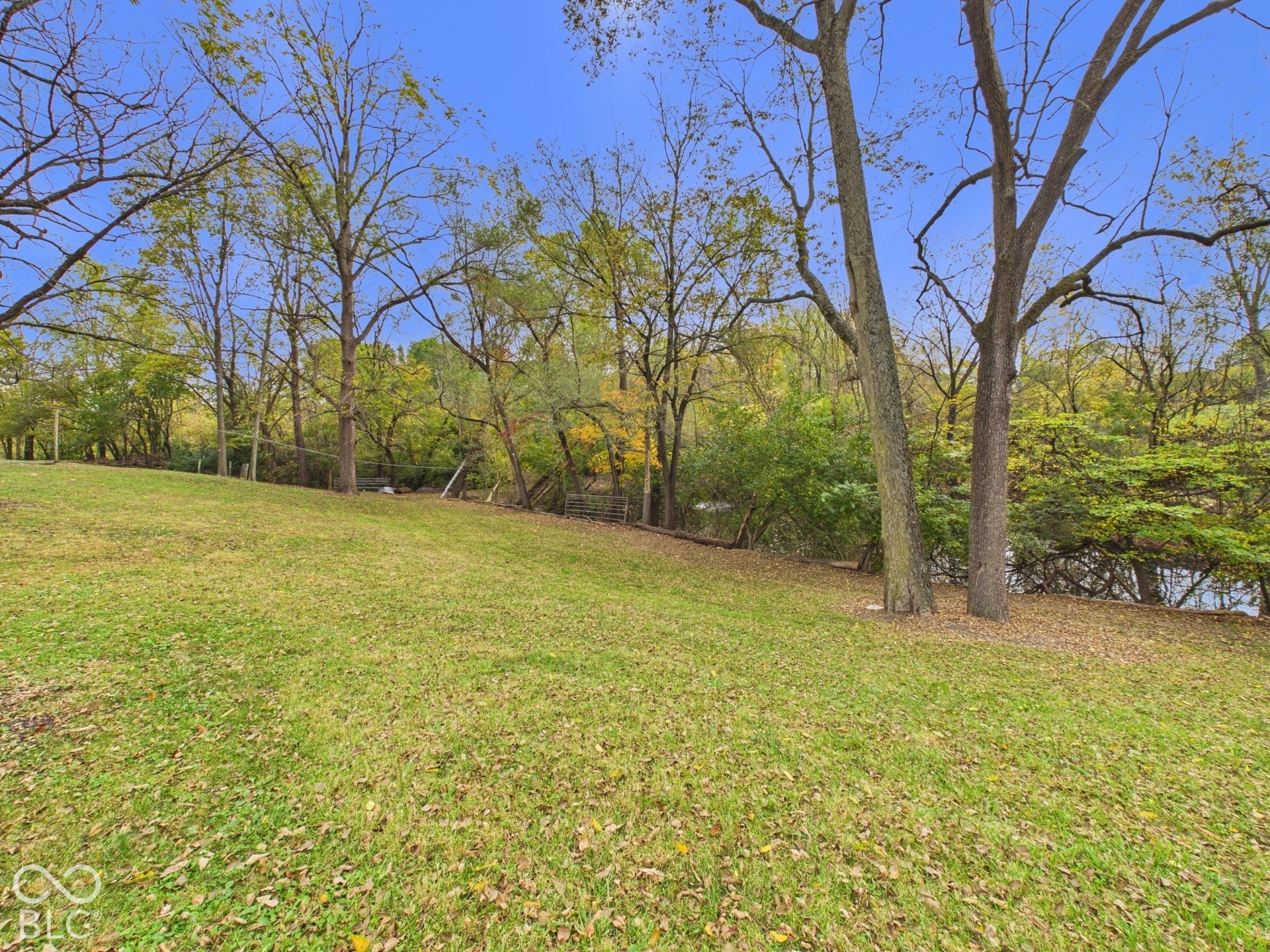 Expansive grounds featuring a grass lawn, mature deciduous trees, and a natural woodland border