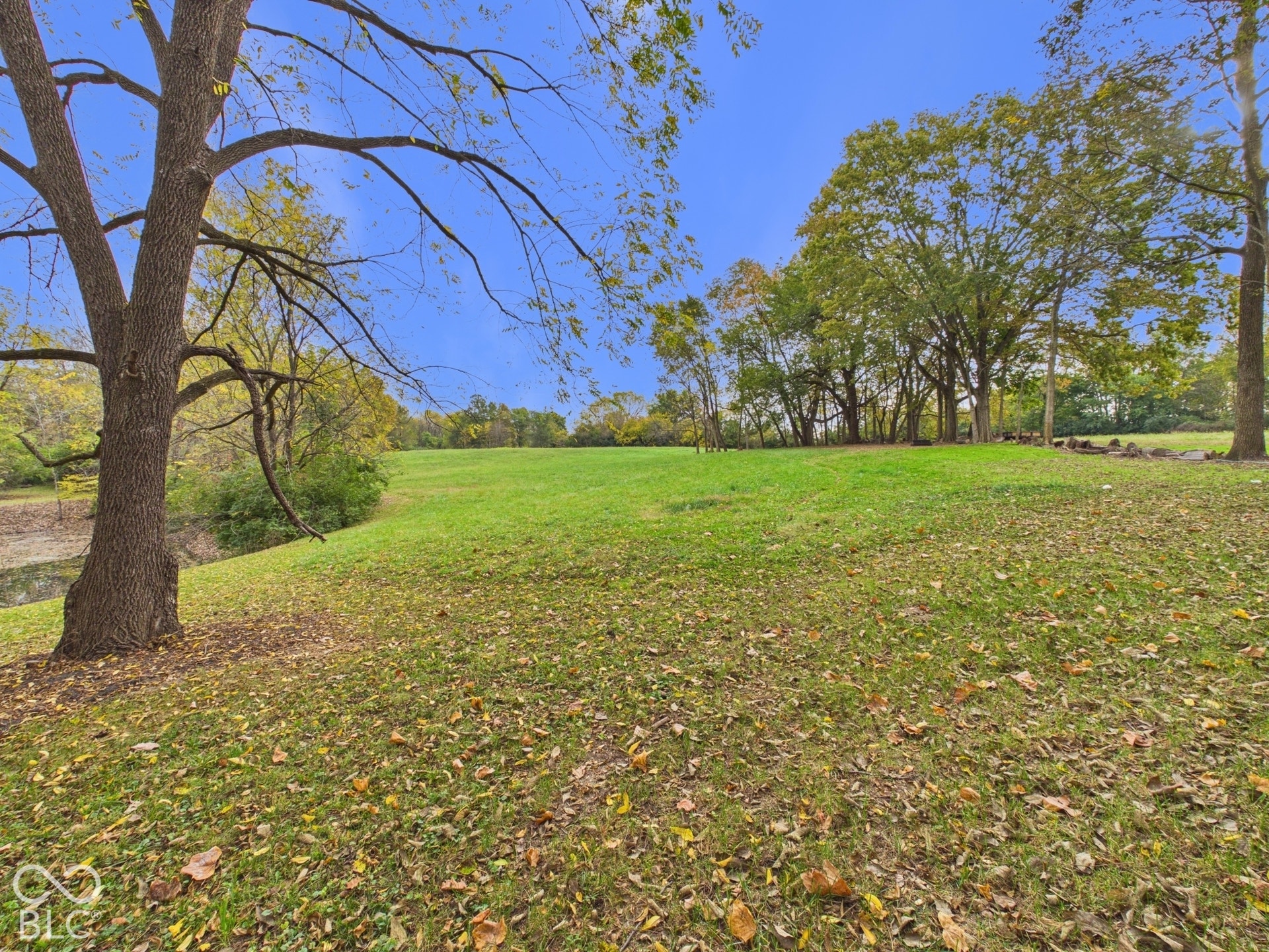 Expansive grounds featuring a grass lawn, mature hardwood trees, and water frontage