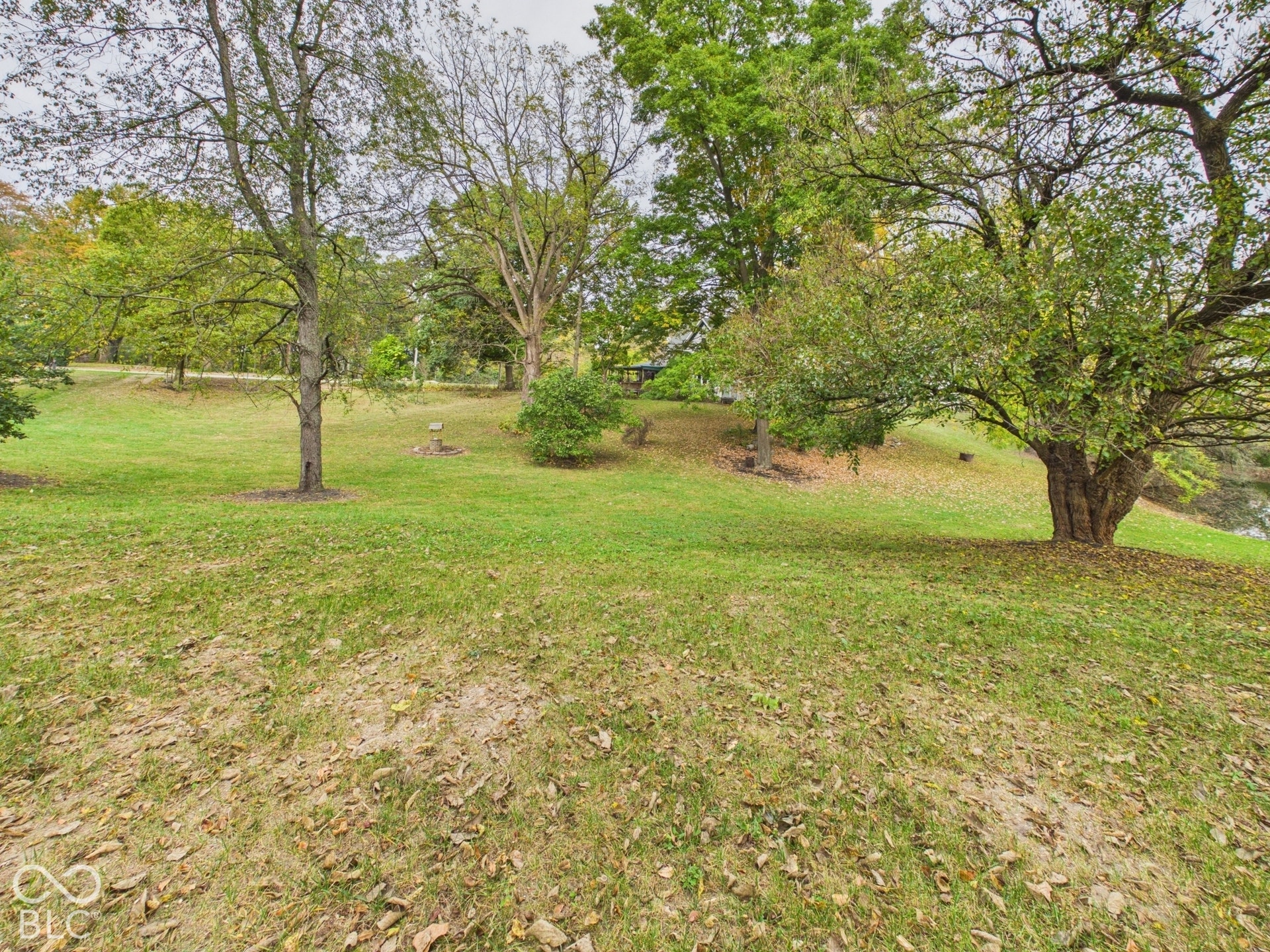 Expansive grounds featuring a sloped grassy terrain, mature trees, and natural foliage