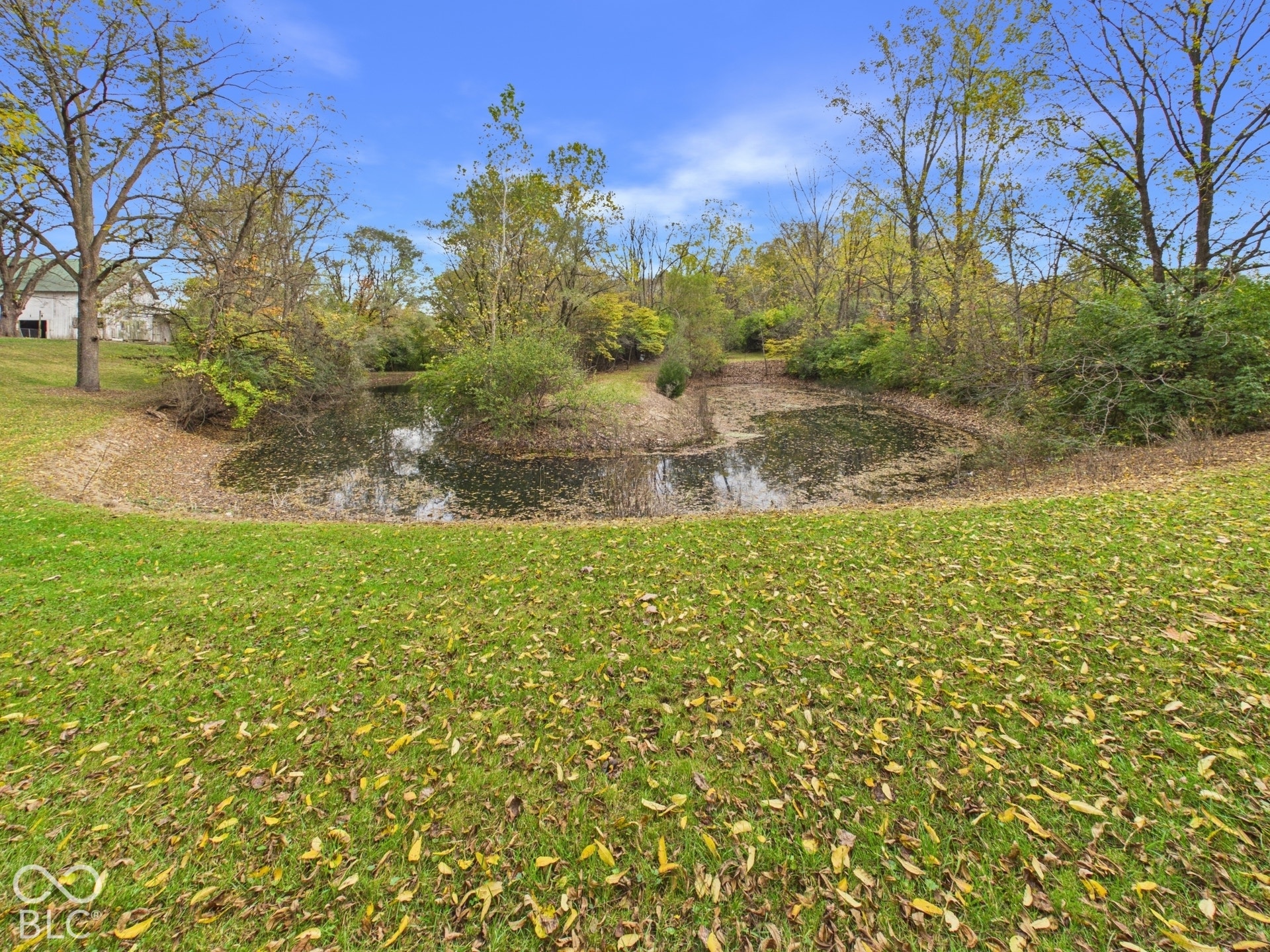 Expansive grounds featuring a private pond, mature trees, and natural landscaping