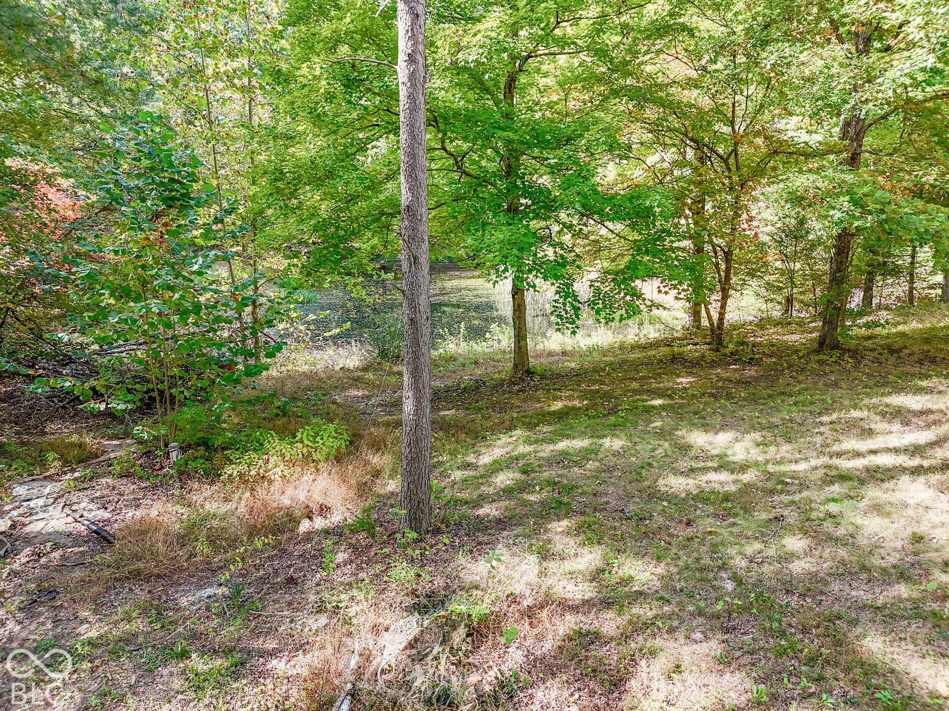3672 W Hougham Drive, Trafalgar, IN 46181 3672 W Hougham Drive, Trafalgar, IN 46181