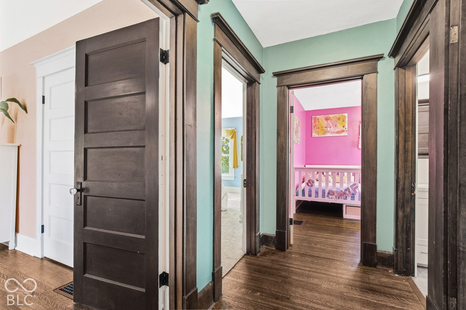 Dark-stained wood trim and door casings with five-panel interior doors and wood-finish flooring