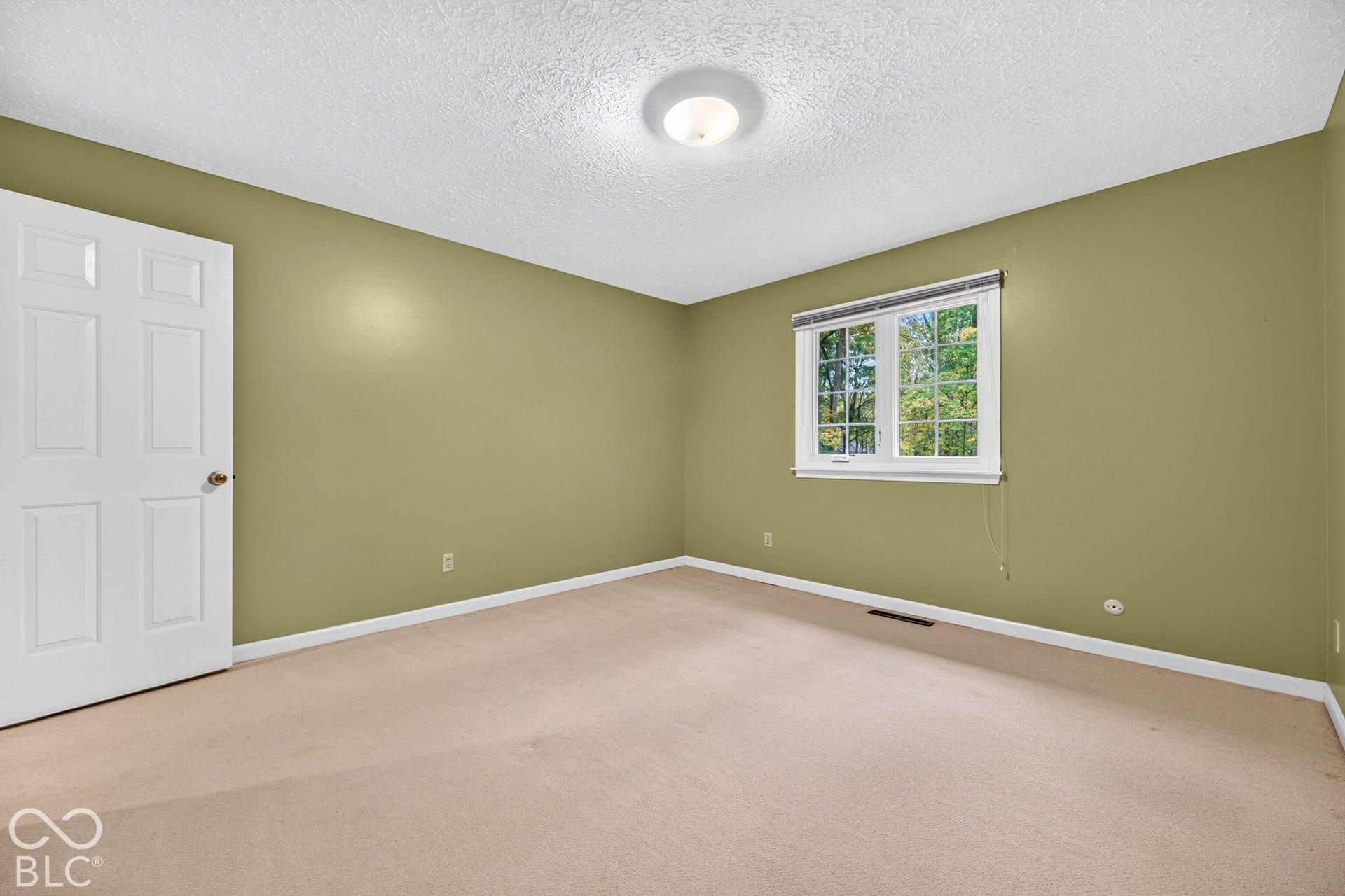 Room featuring neutral carpeting, multi-pane window, solid core six-panel door, and flush-mount ceiling lighting